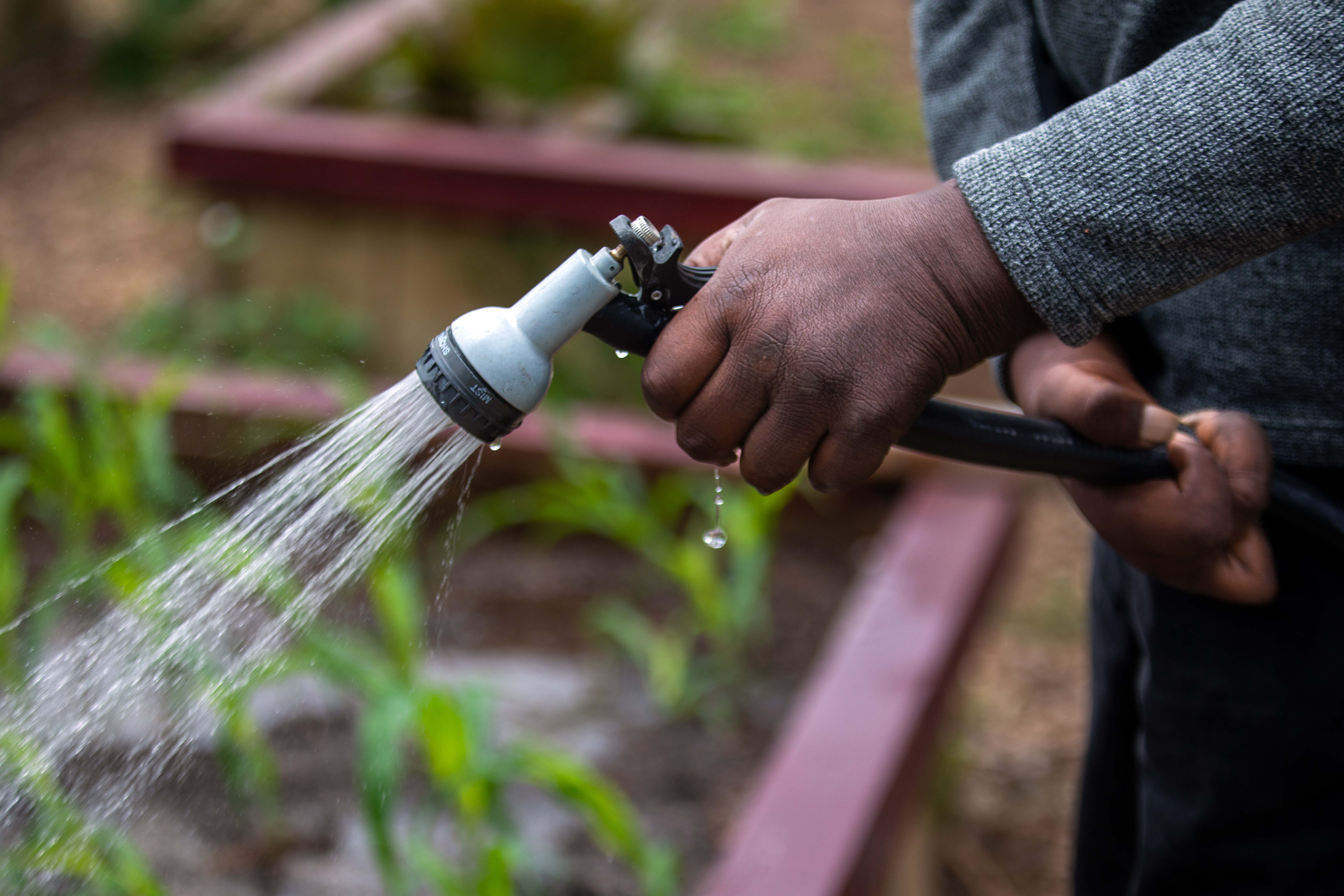 Did Californians cut water use 15% during the drought? - Vimarsana News