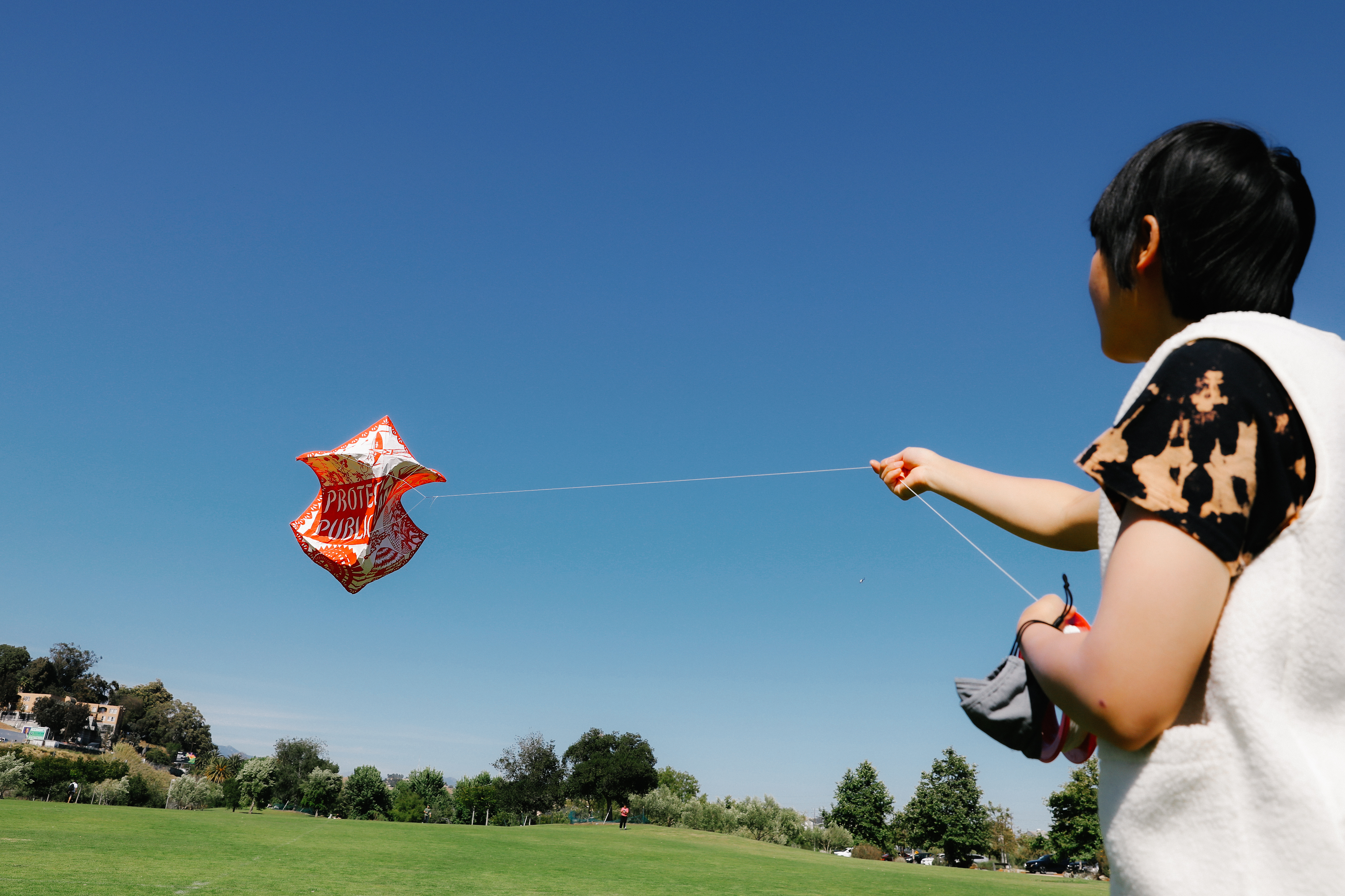 A 'gallery in the sky' of kites will fly over L.A. this weekend - Vimarsana News