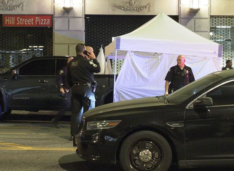 Suspect arrested after pedestrian, 3 dogs are fatally struck in downtown Los Angeles - Vimarsana News