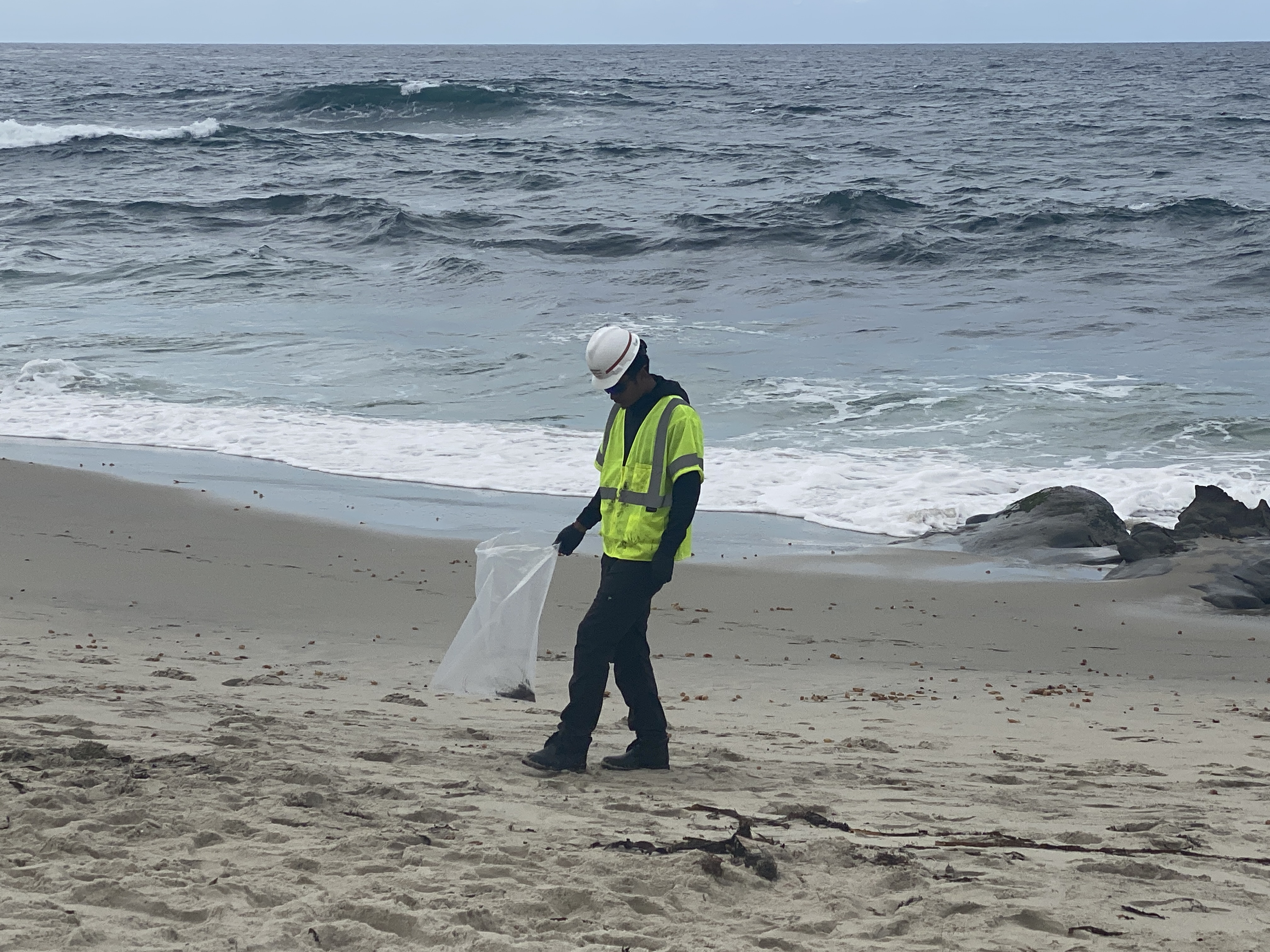 Coast Guard cleans La Jolla beach after reports of tarballs linked to O.C. oil spill - Vimarsana News