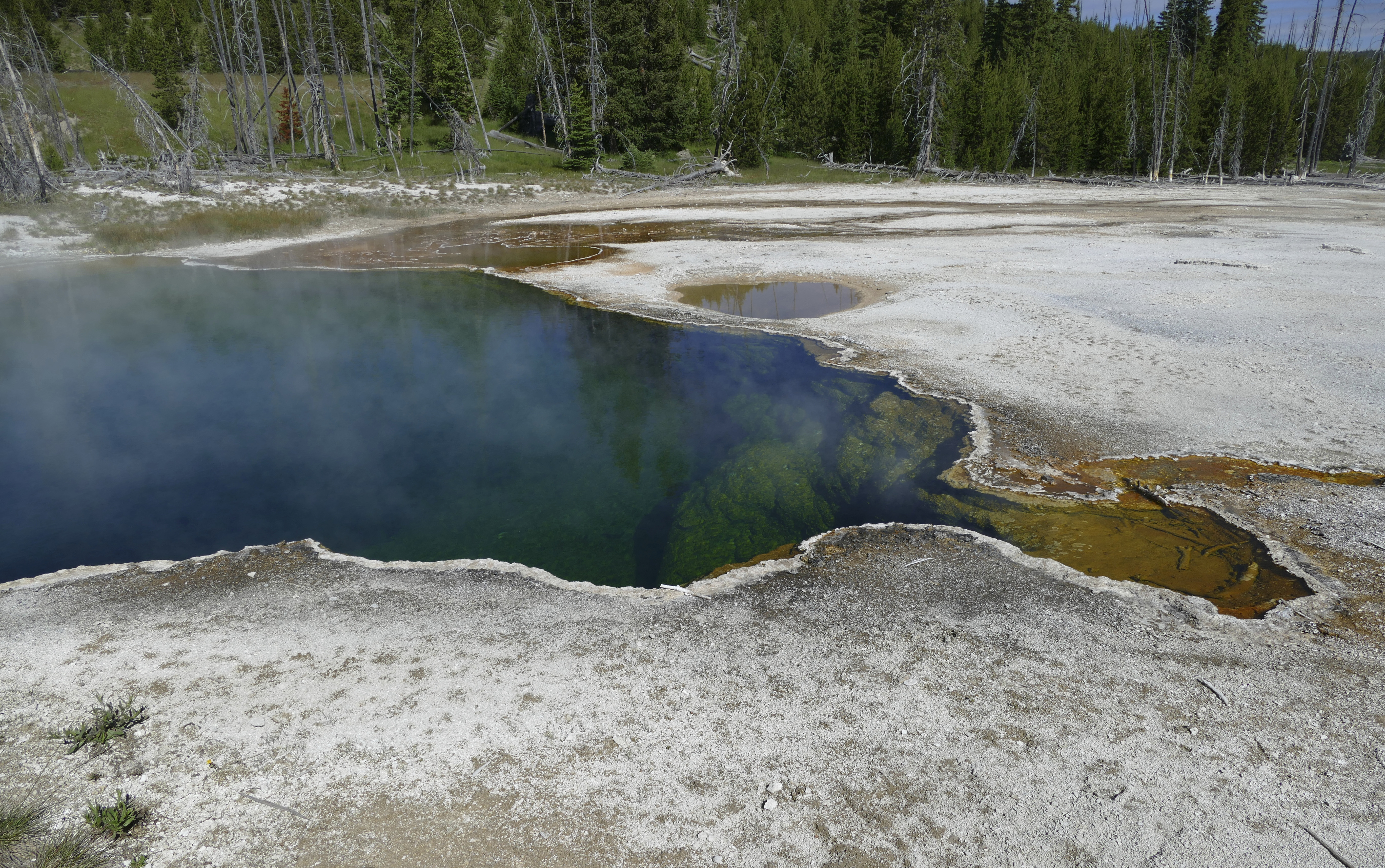 Foot found floating in Yellowstone spring belonged to L.A. man - Vimarsana News
