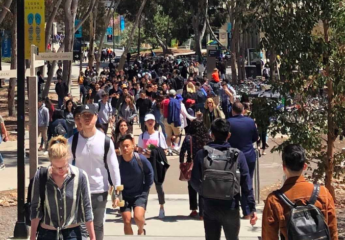 UC San Diego tells students who traveled over Thanksgiving to get tested for COVID-19 - Vimarsana News