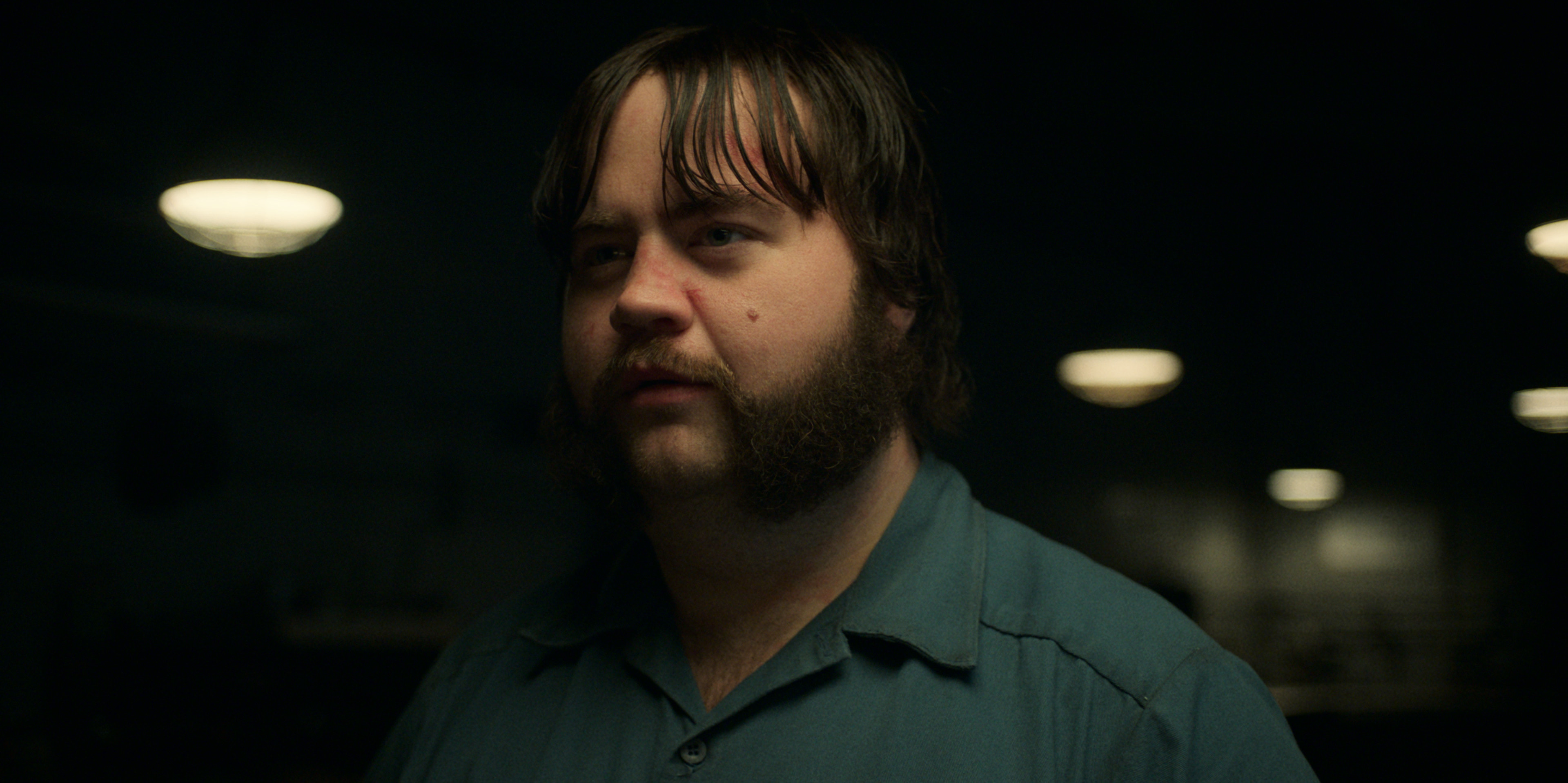Paul Walter Hauser emerges from 'Black Bird' a better person - Vimarsana News