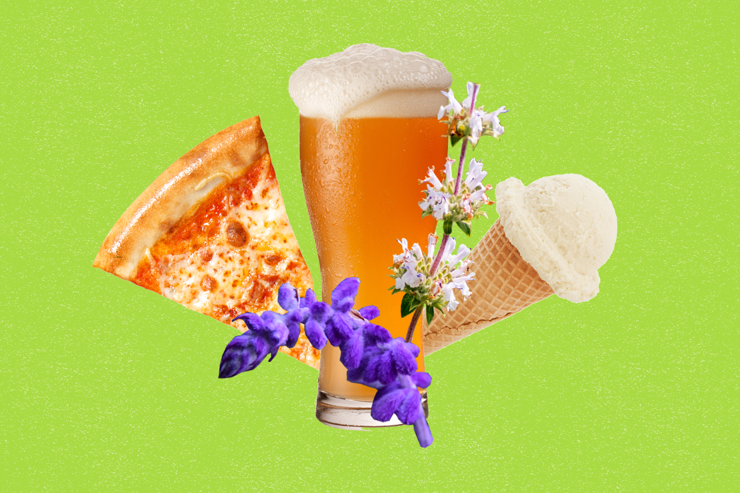 Native plant-based beer, pizza are the stars of this LA event - Vimarsana News