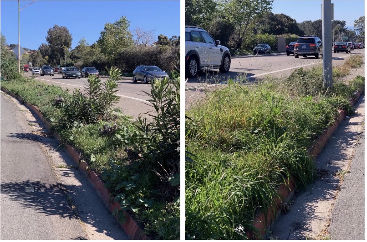 La Jolla Shores board OKs working group to dig into sprucing up 'The Throat' - Vimarsana News