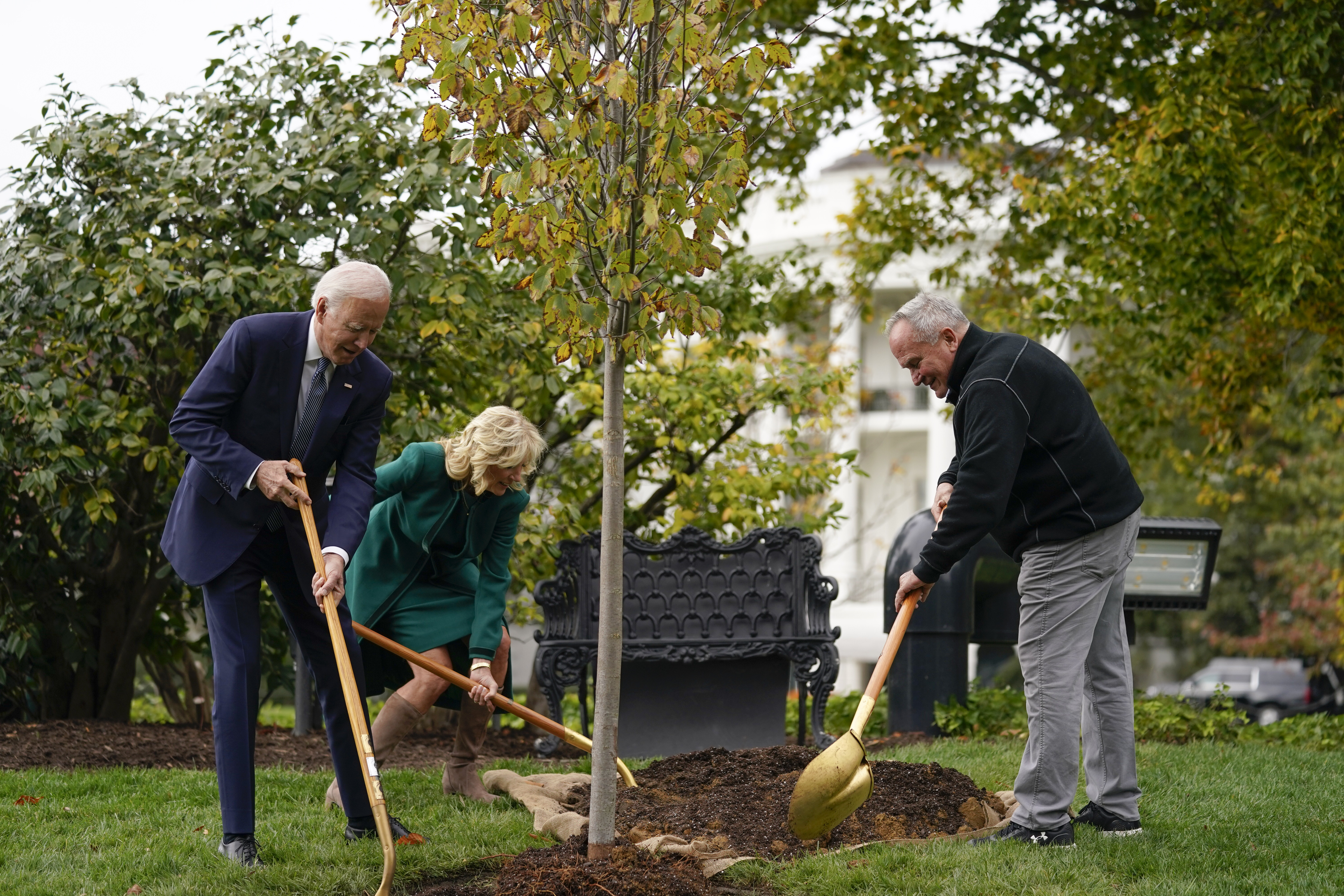 Arbor Day tree-planting isn't the climate fix it's cracked up to be - Vimarsana News