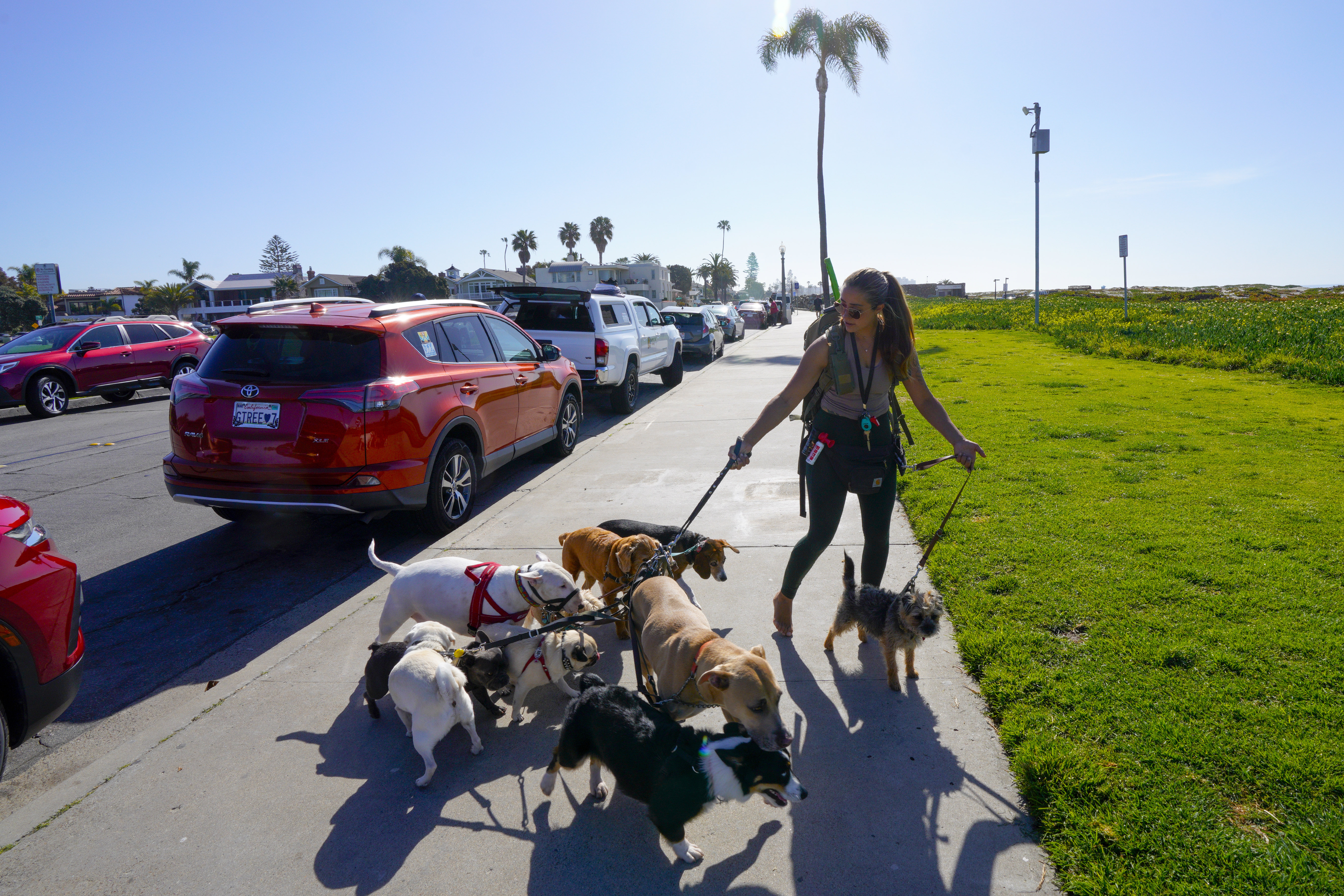 Do you own a San Diego microbusiness? Don't miss the deadline for this COVID-19 relief money - Vimarsana News