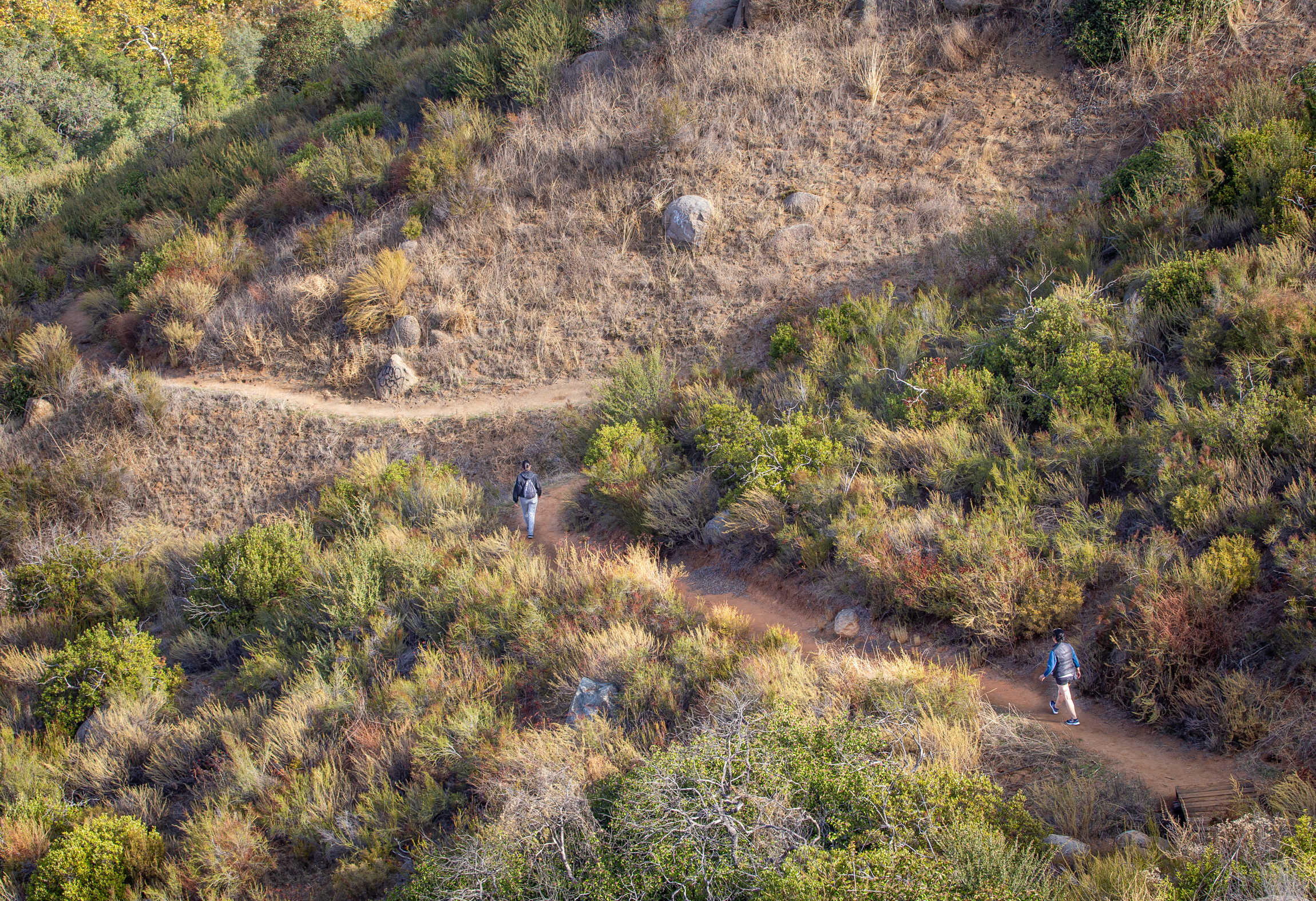 When young people spend time in nature, it benefits their wellbeing — and our environment - Vimarsana News
