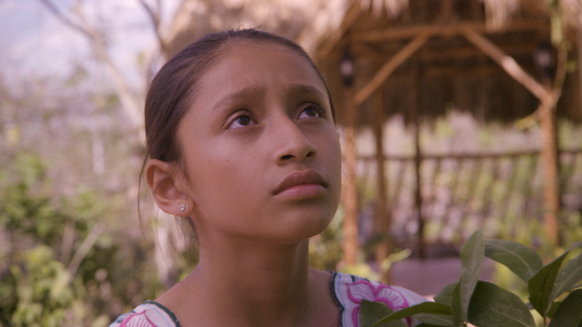 Opinion: As a young filmmaker, creating a feature film to honor my Yucatecan culture was a dream - Vimarsana News