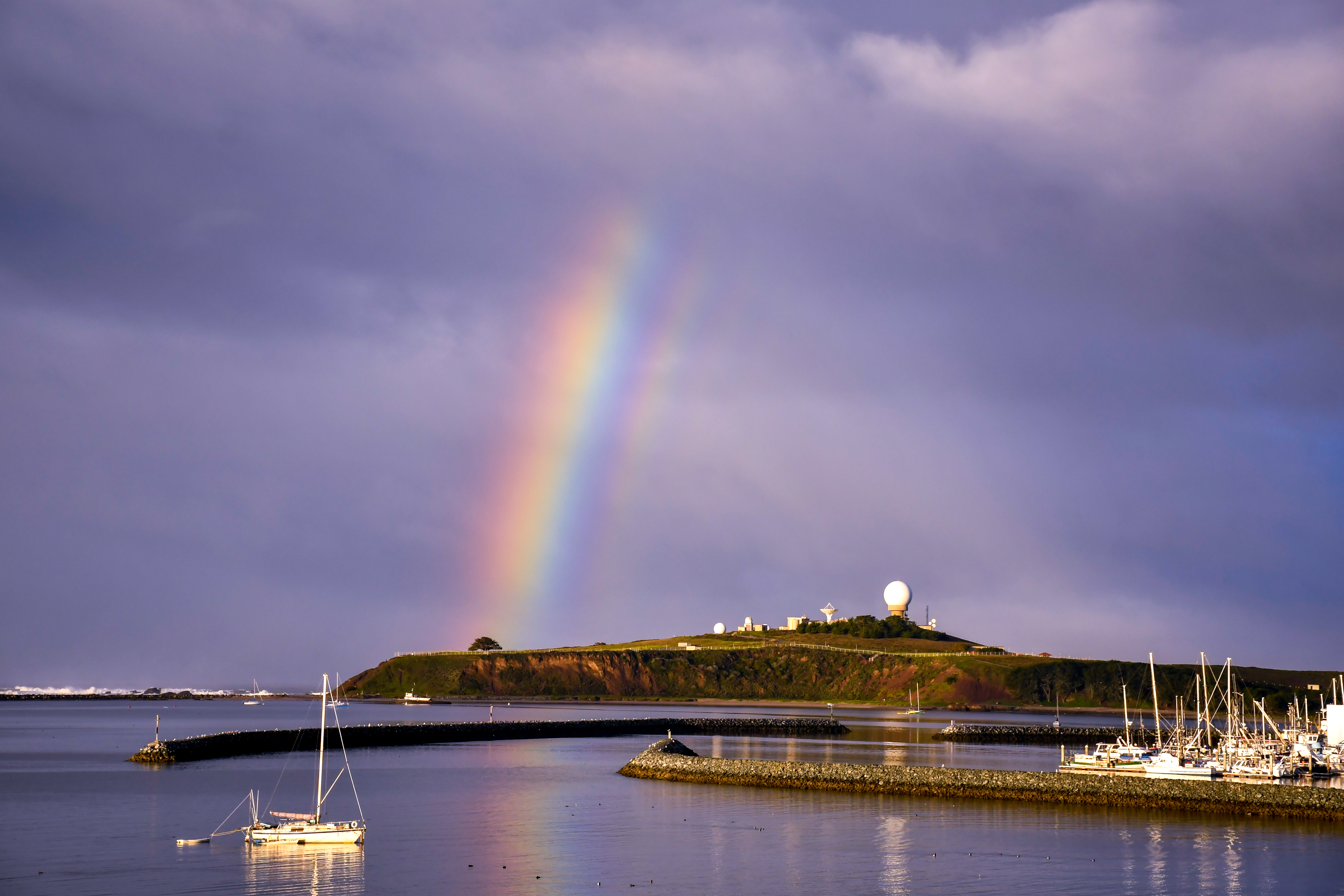 Best things to do on a weekend trip to Half Moon Bay - Vimarsana News