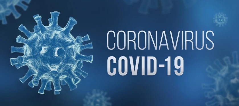 La Jolla researchers discover antibodies that offer broad immunity against SARS viruses, including variants - Vimarsana News
