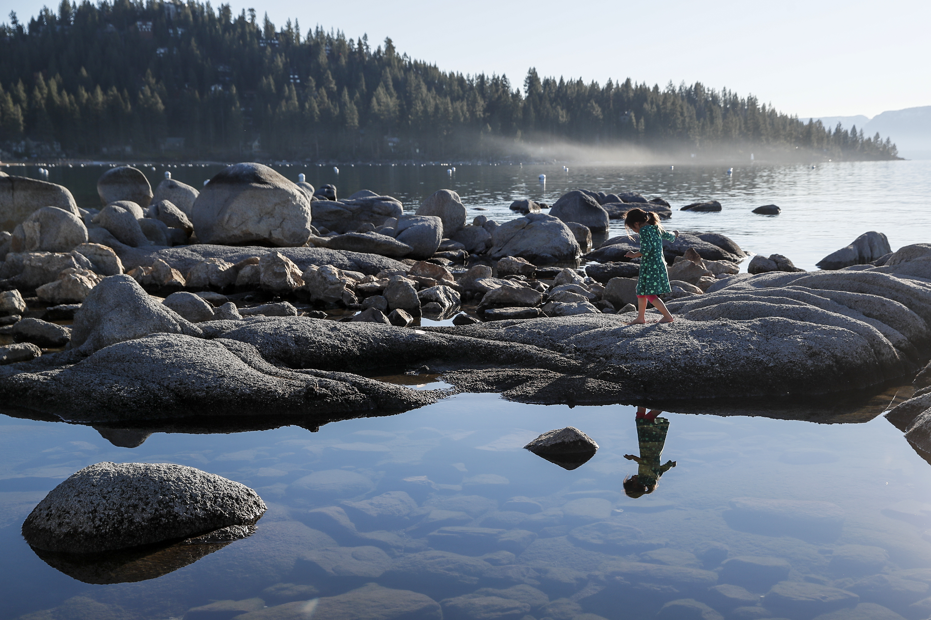 Lake Tahoe's so clear! Thank you, tiny nibbling creatures - Vimarsana News