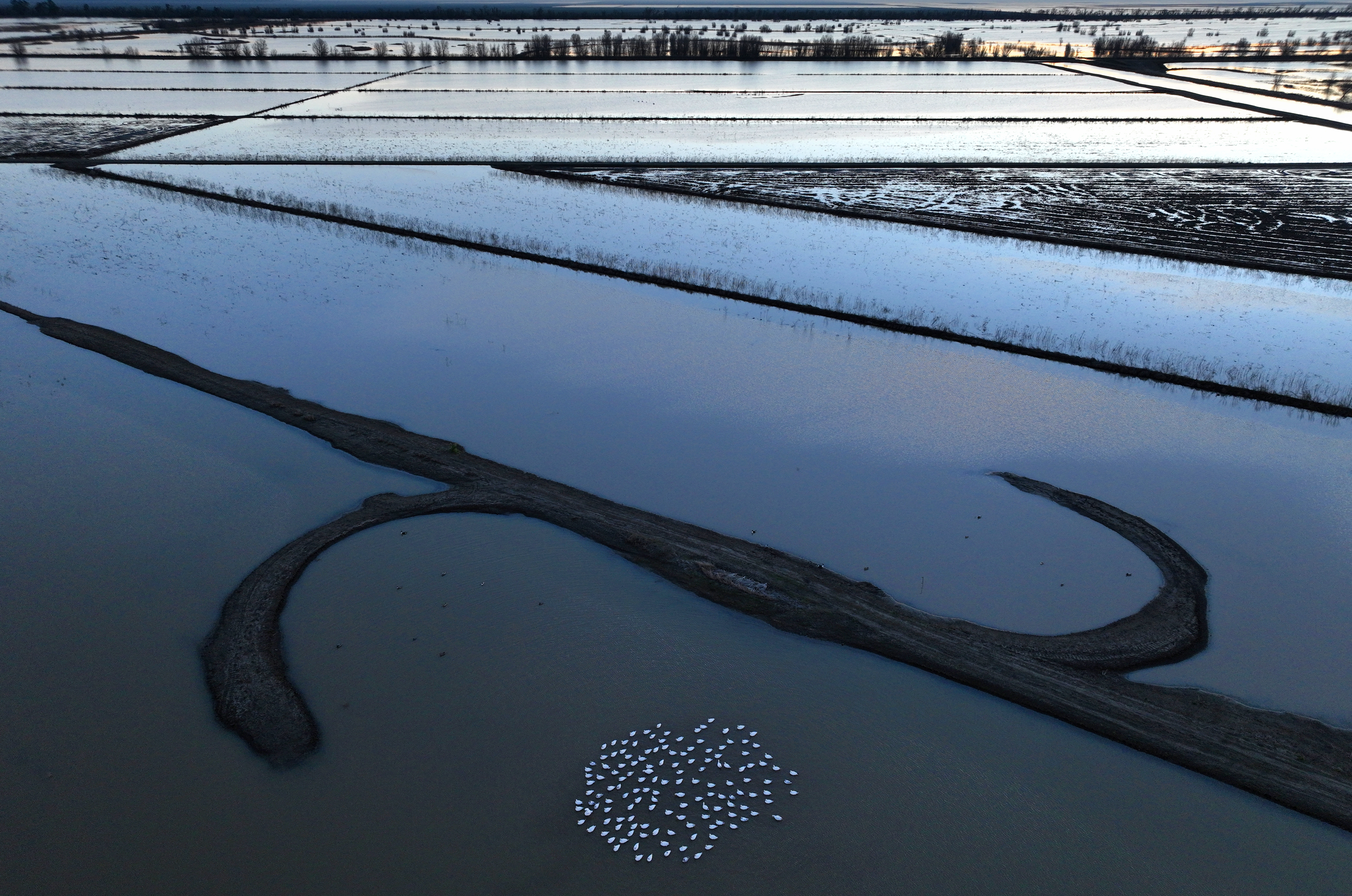 Opinion: Forget all the rain and snow, California is still short of water - Vimarsana News