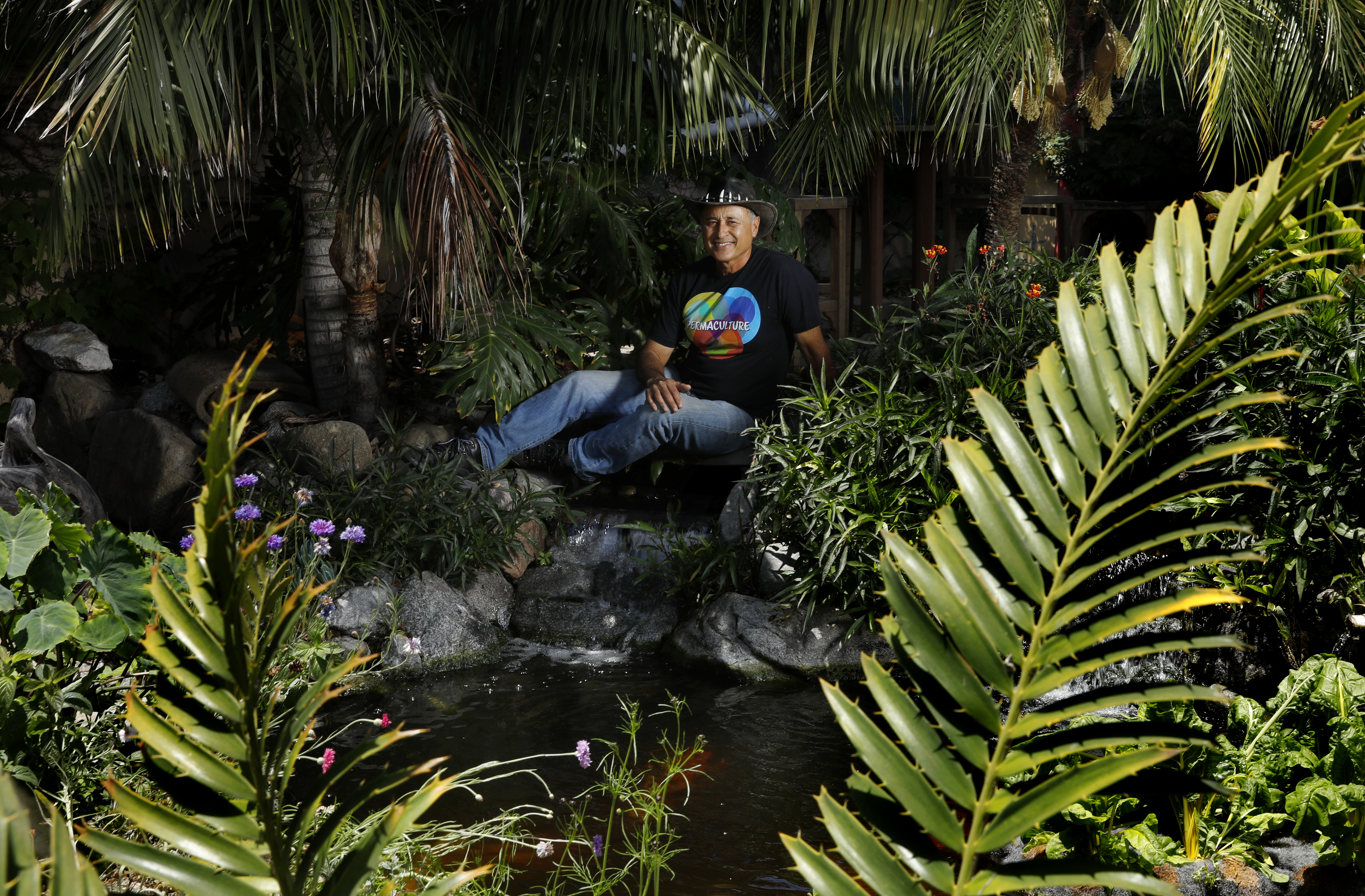 Amid the drought, tear out your lawn and use recycled water - Vimarsana News