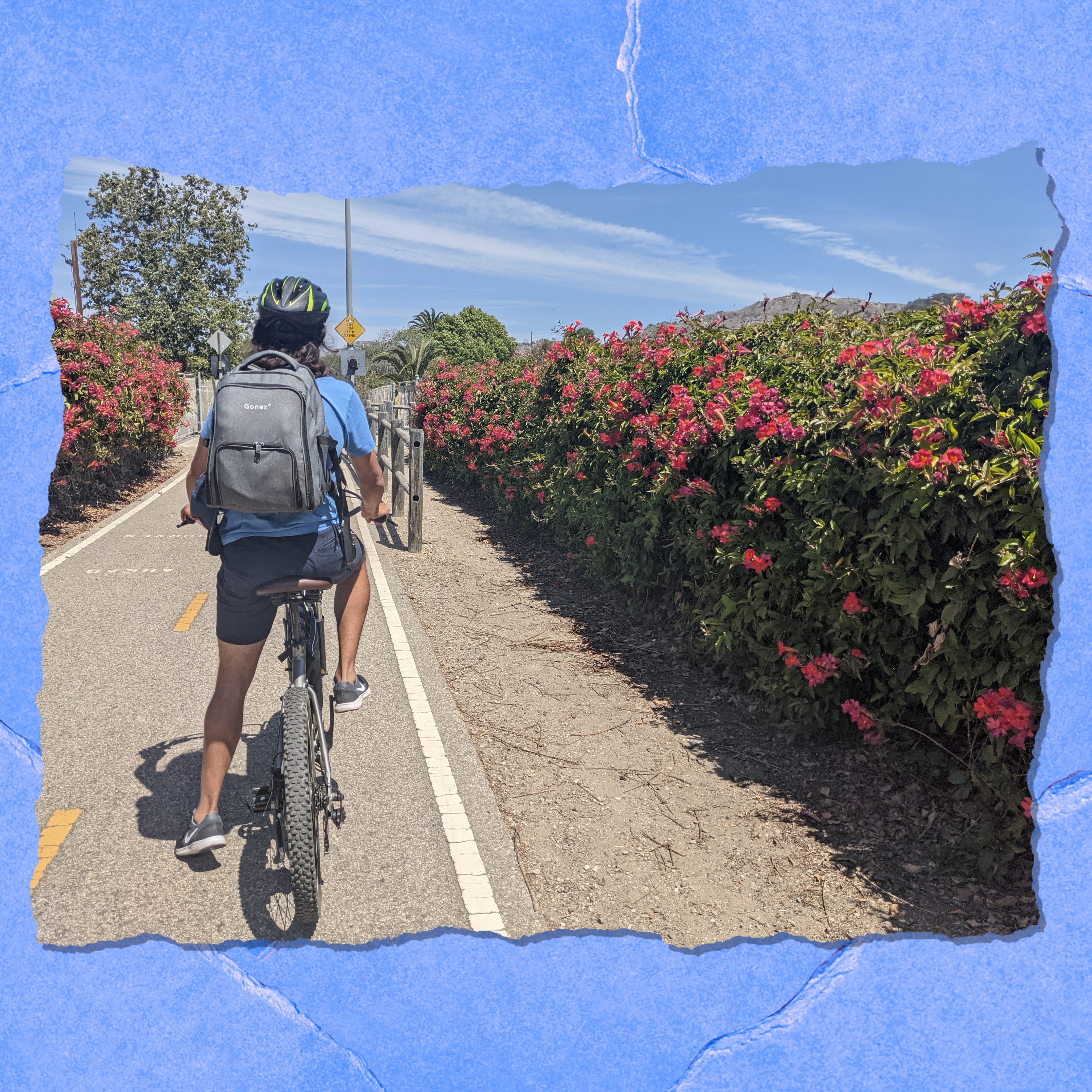 Looking for the best bike trail in SoCal? Try Ojai - Vimarsana News