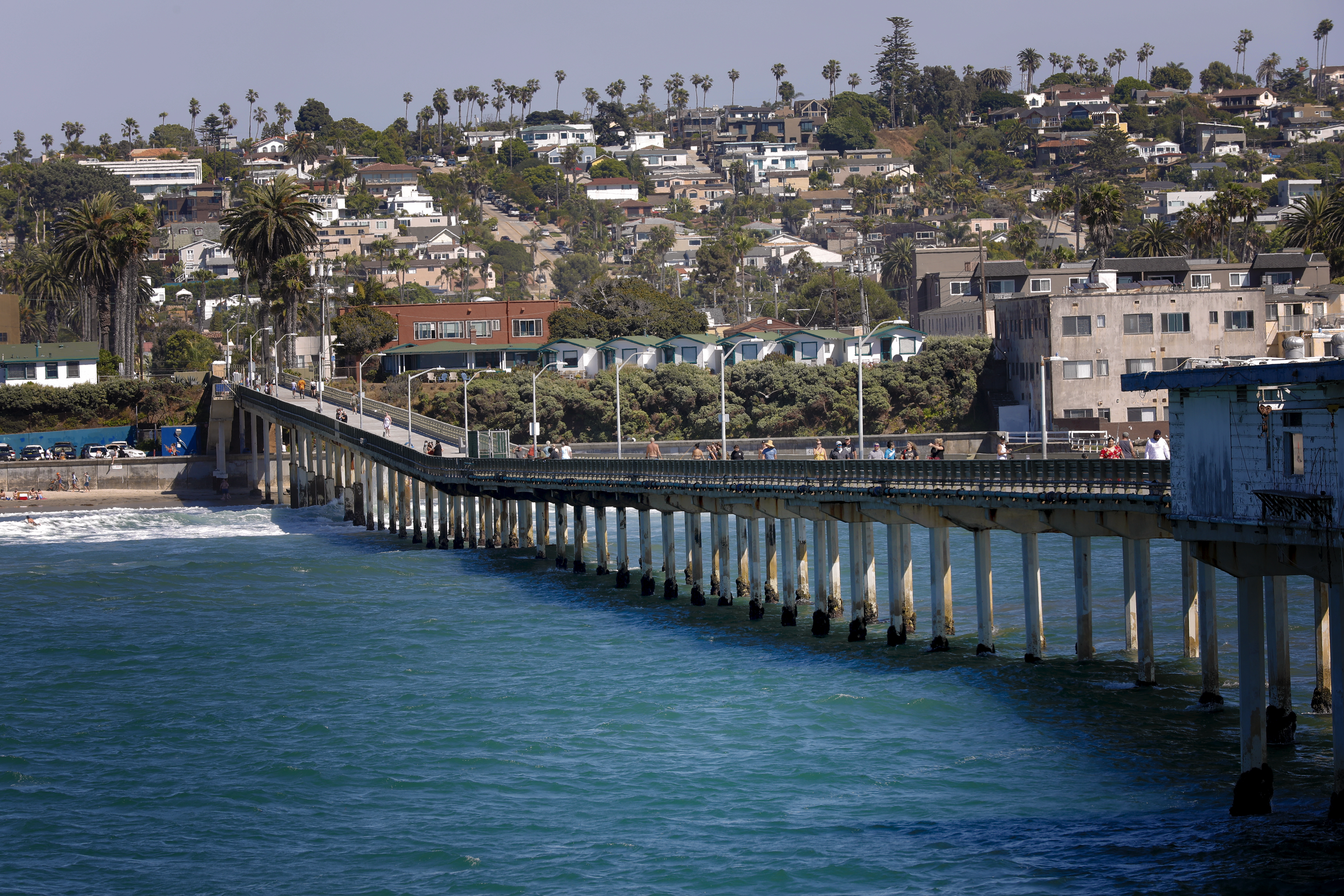 Ocean Beach landlord with short-term rental empire sued by two tenants - Vimarsana News