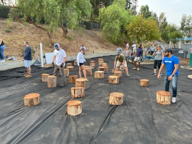 North County School News, Oct. 31 - Vimarsana News