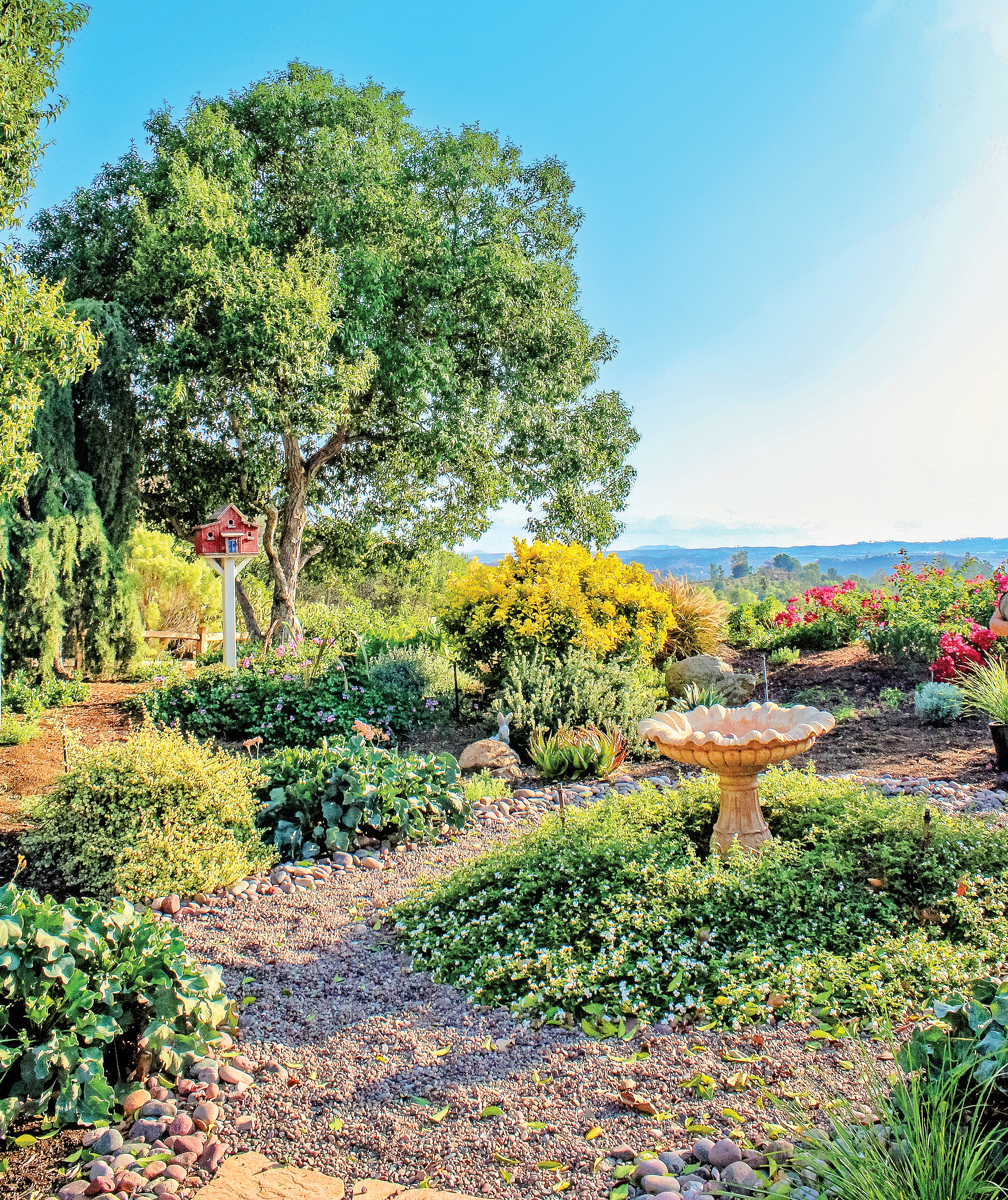 Joy blooms anew: Spring garden tours are back - Vimarsana News