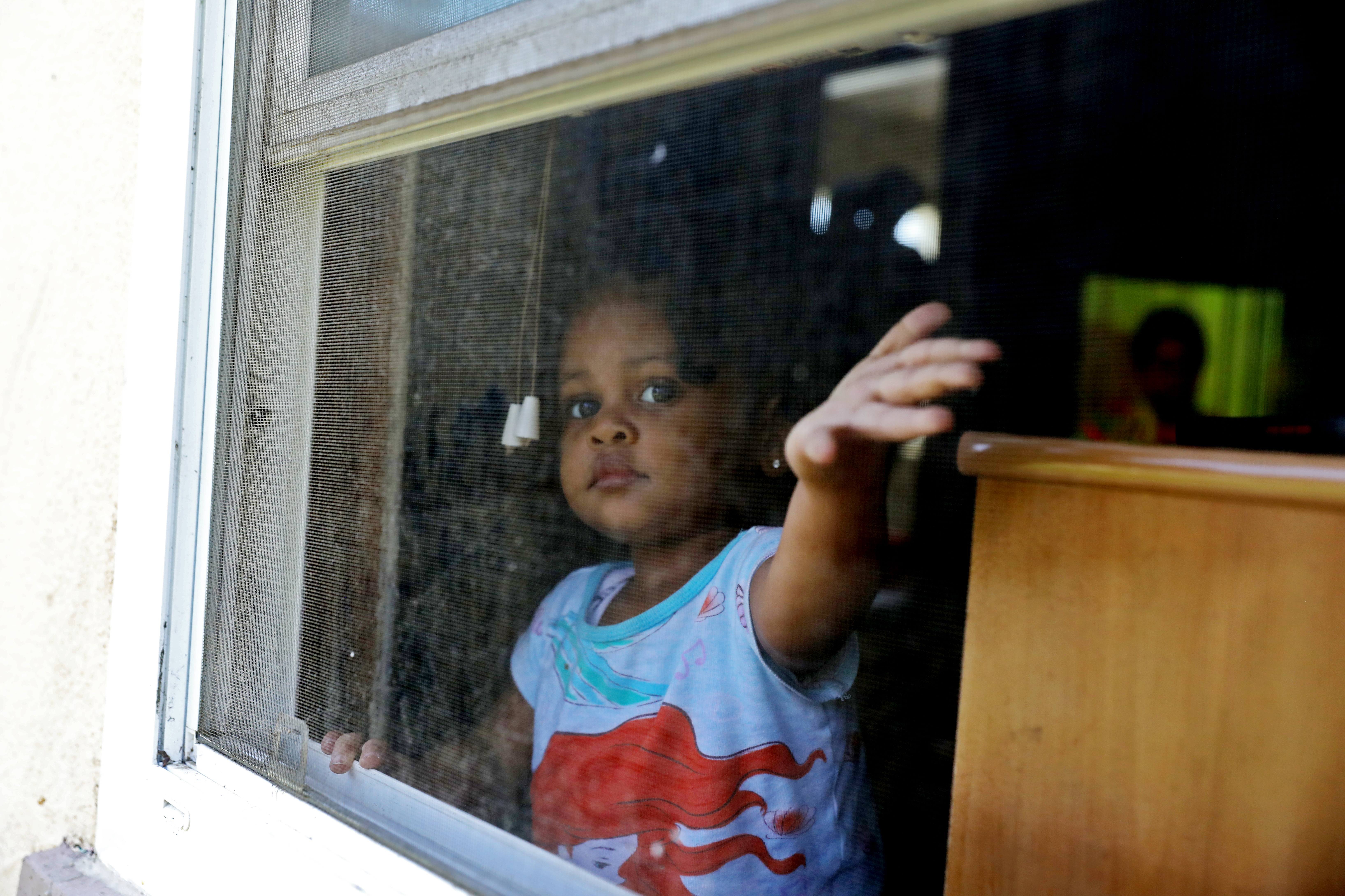 'Gimme Shelter': Why mold and sewage complaints evade L.A. apartment inspectors - Vimarsana News