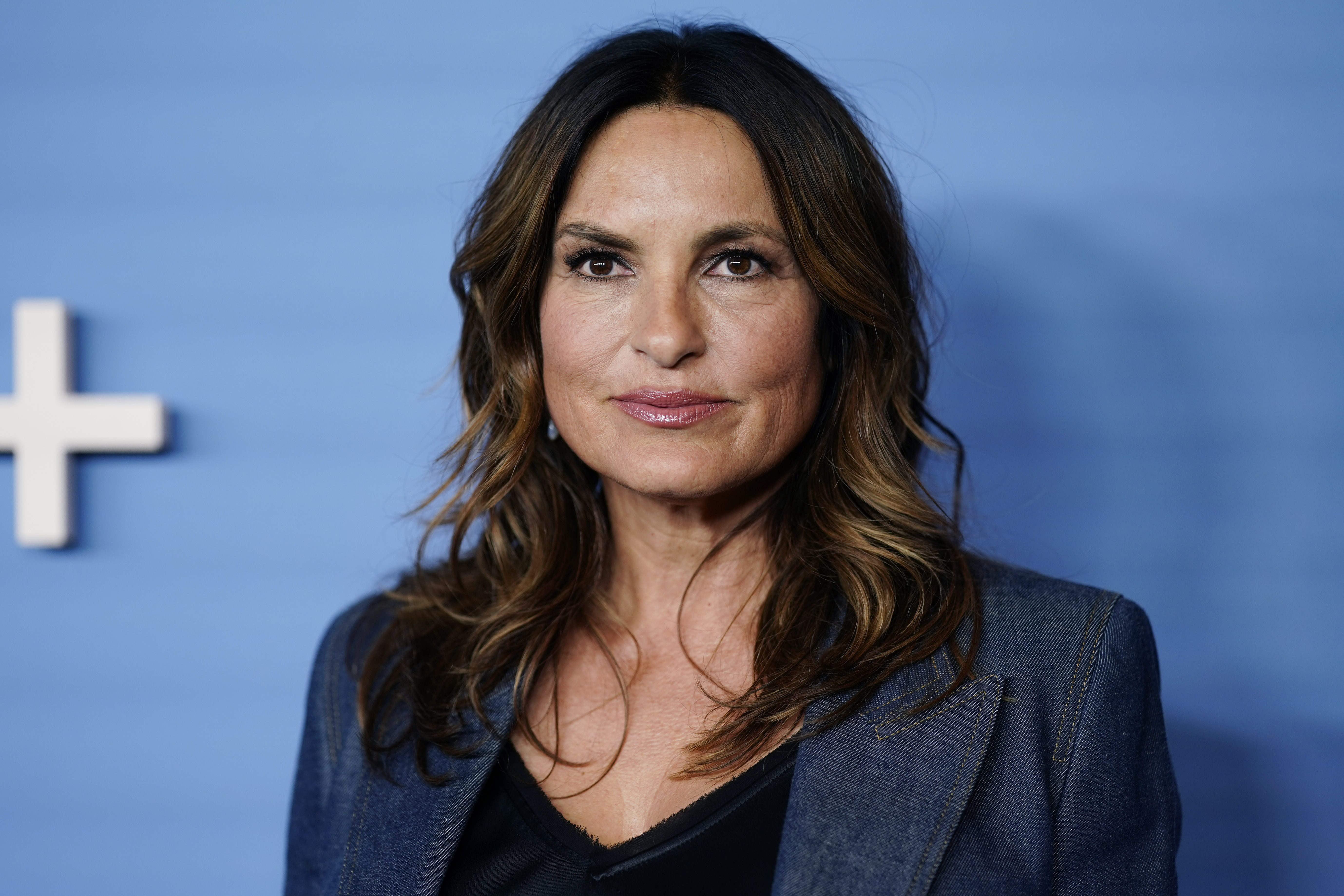 「法と秩序：SVU」スターのマリスカ・ハージティは、数千件の現実のレイプ事件の解決に貢献した