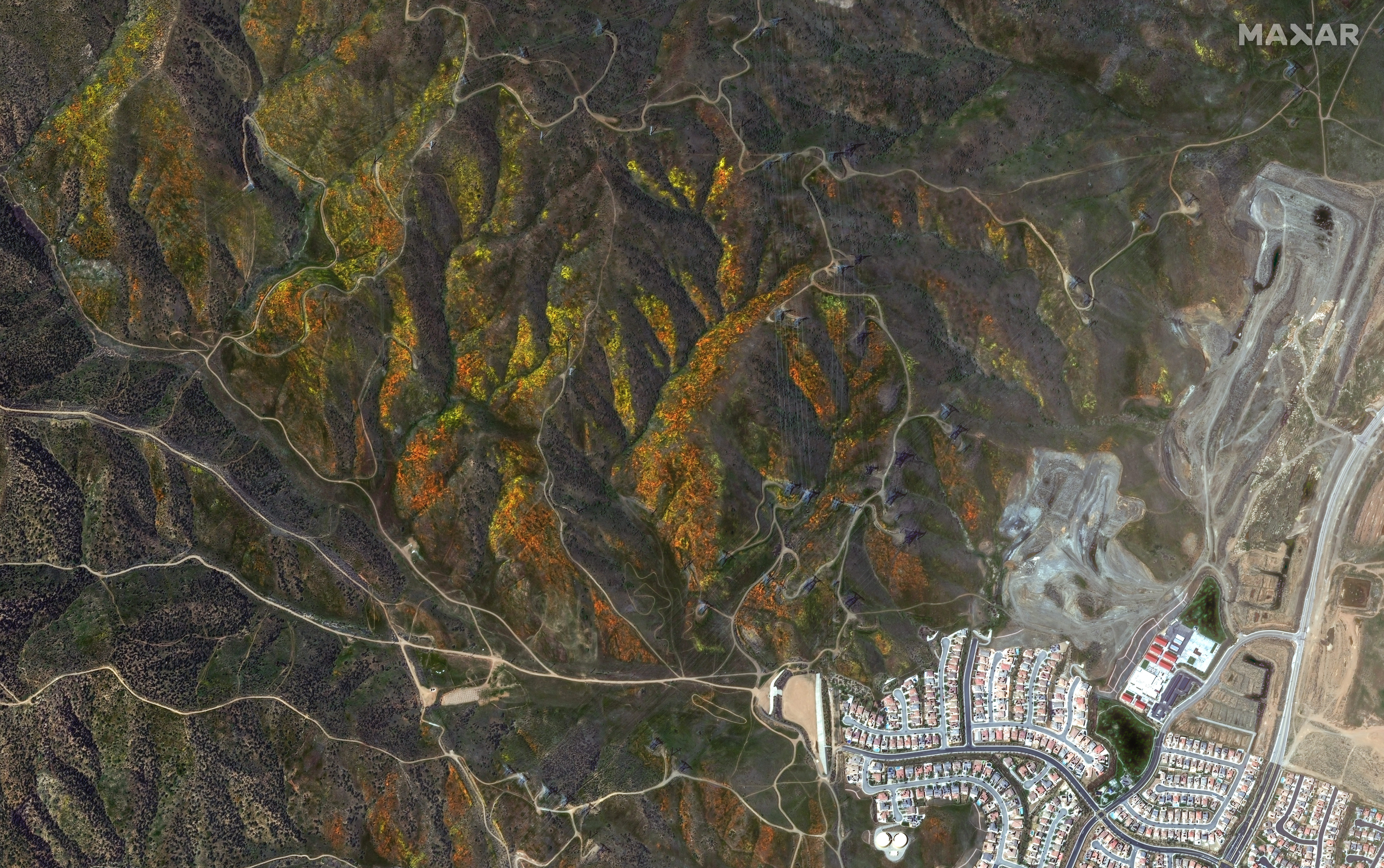 Incredible satellite photos show the California superbloom - Vimarsana News