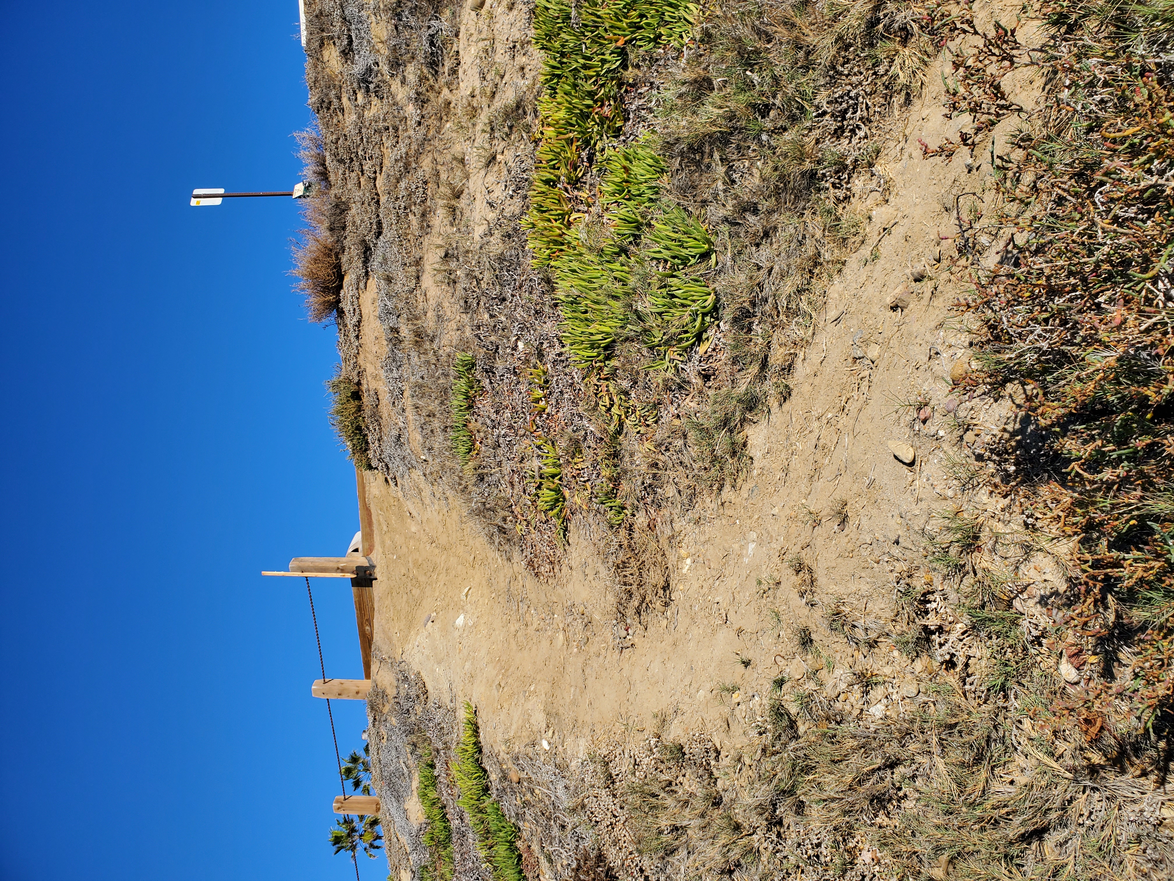 Barrier plan stalls in efforts to keep people off unsanctioned trails at La Jolla's Windansea Beach - Vimarsana News