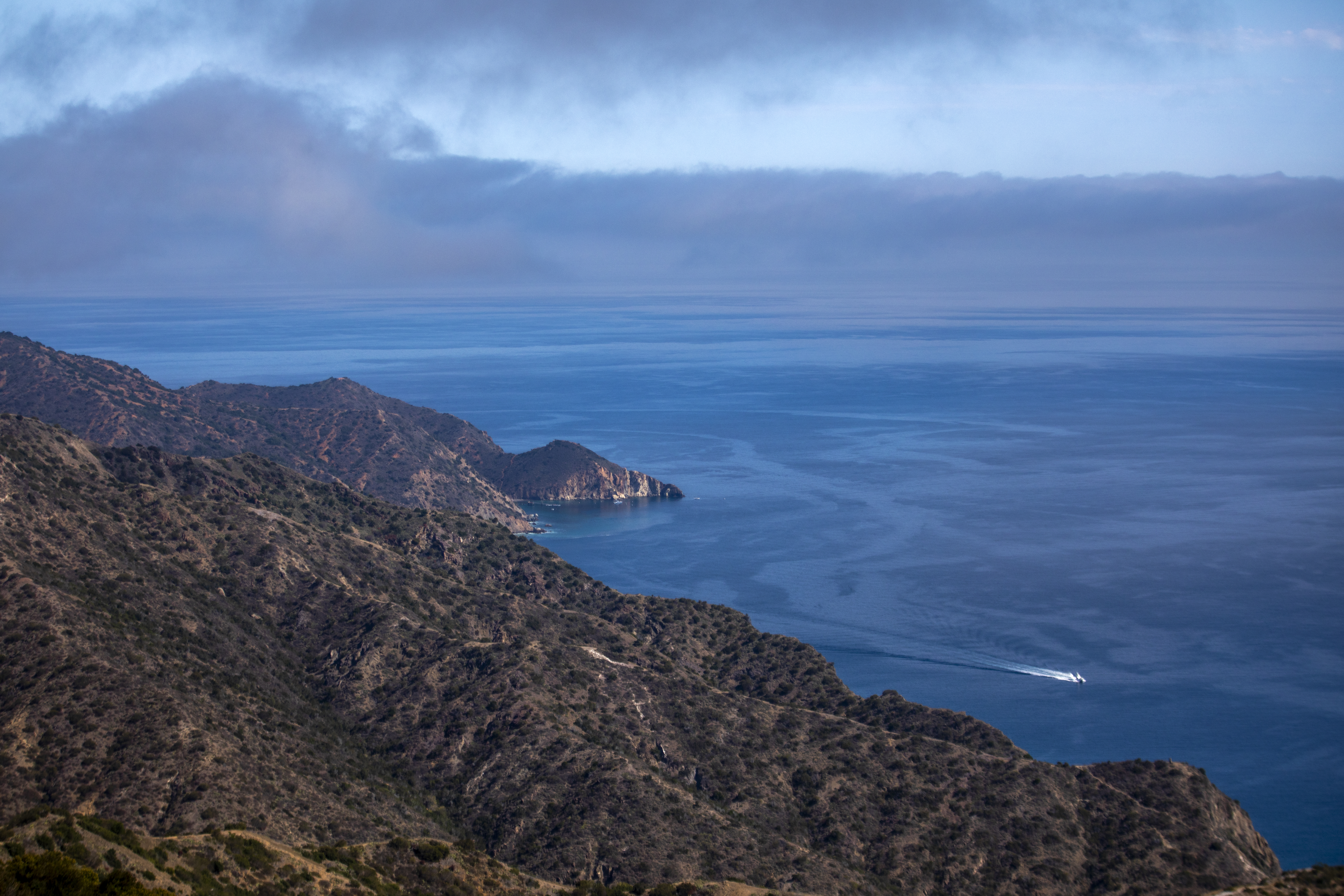Diver from Huntington Beach reported missing near Santa Catalina Island - Vimarsana News