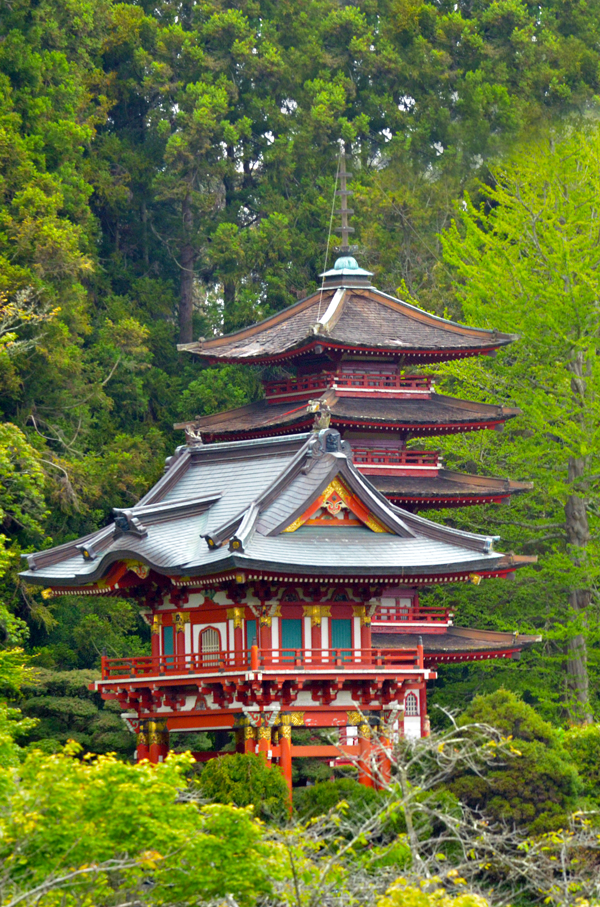Golden Gate Park a hidden gem in San Francisco - Vimarsana News