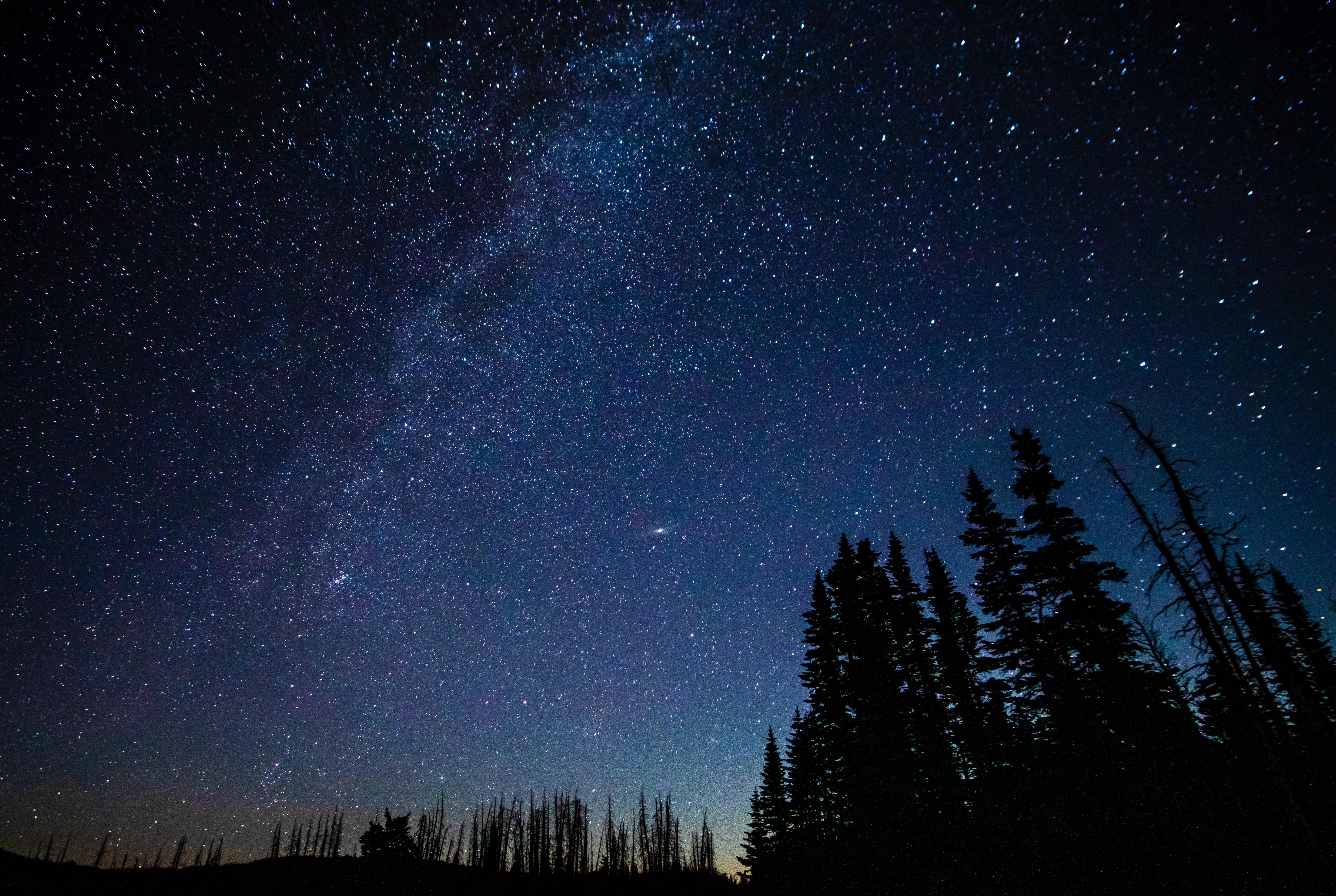 What you can do to reduce light pollution - Vimarsana News