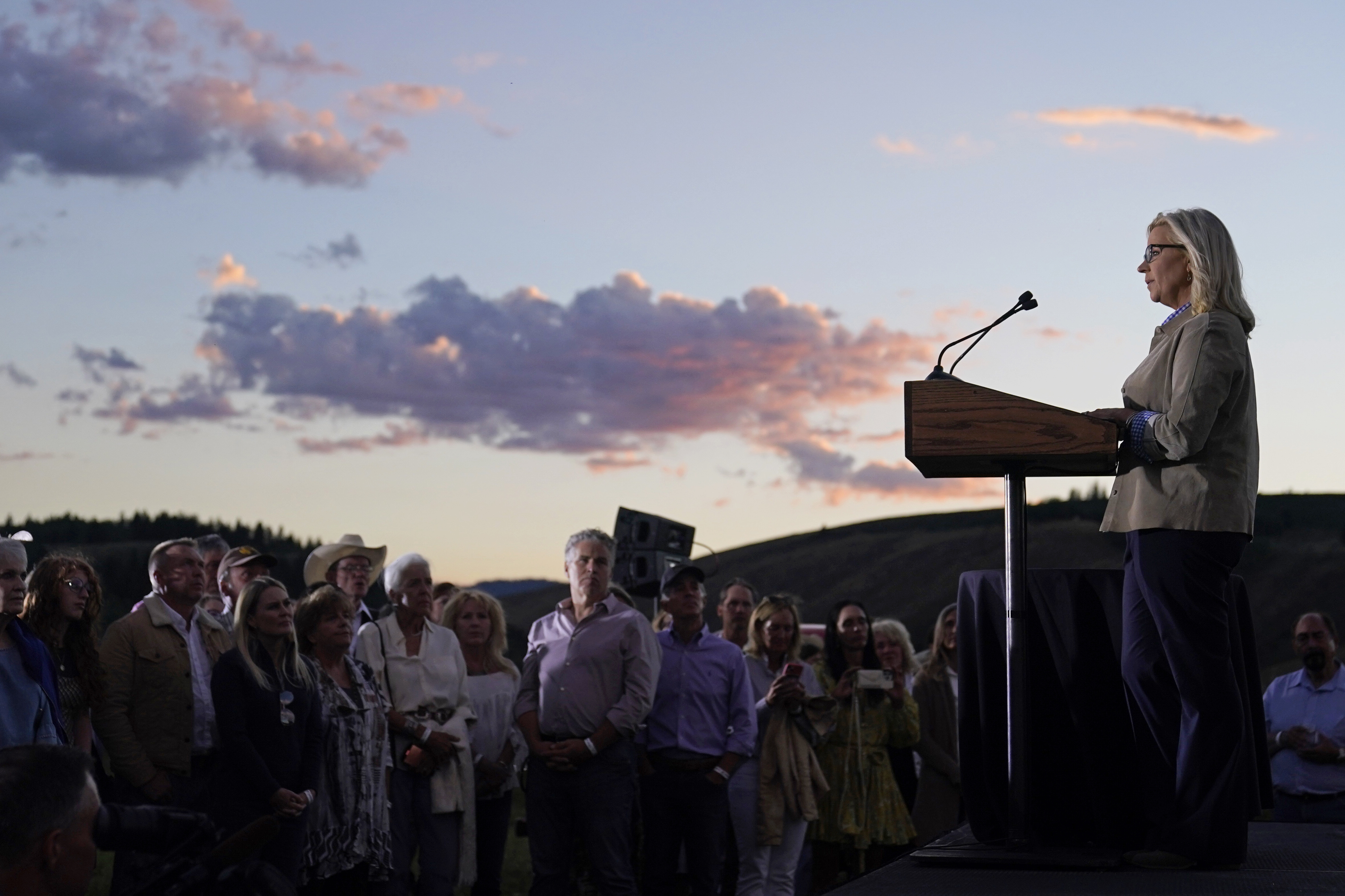 Liz Cheney, come to California. We'd vote for you - Vimarsana News