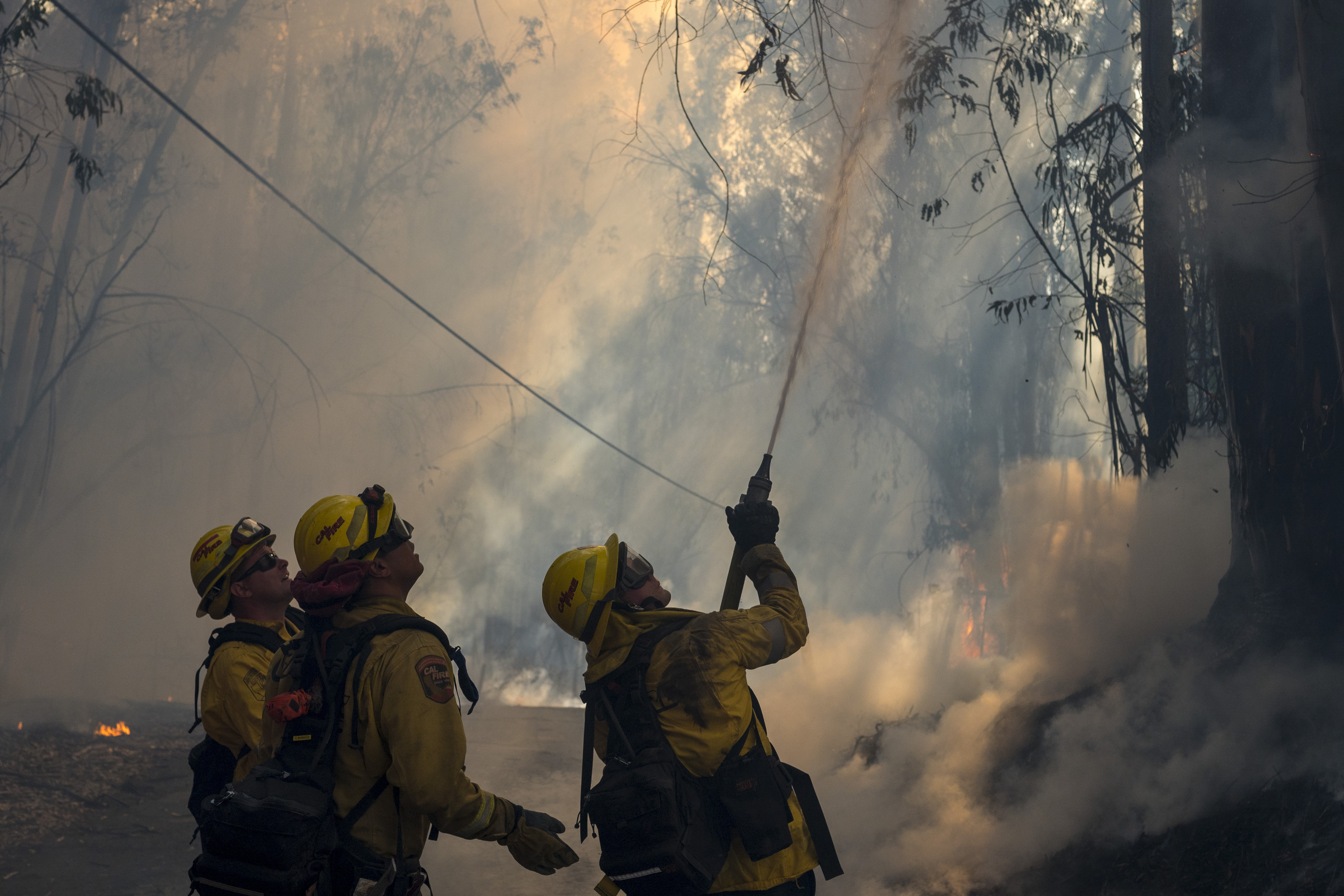 Northern California fire destroys at least one structure - Vimarsana News
