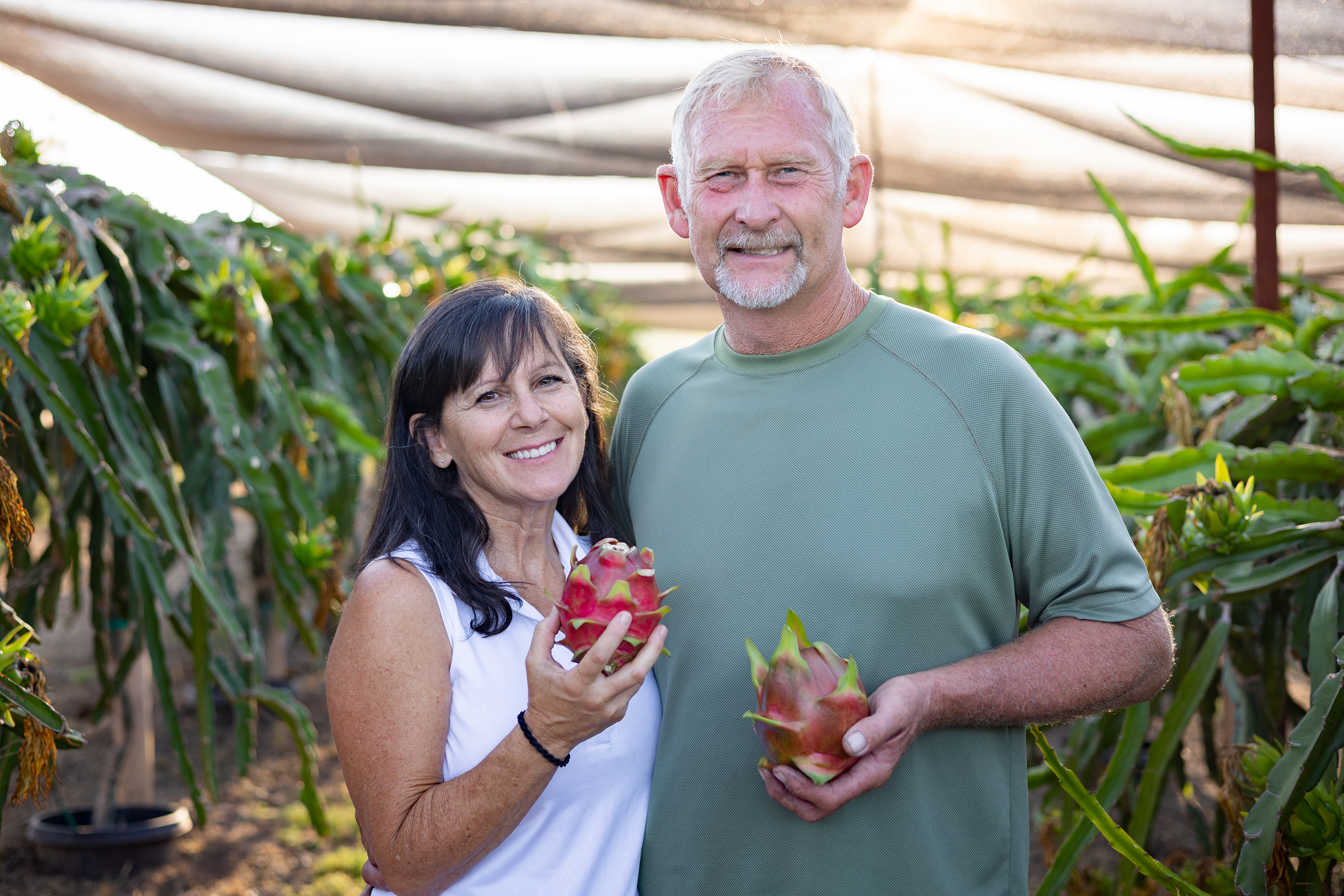 Ramona couple are experts at training their dragon fruit - Vimarsana News