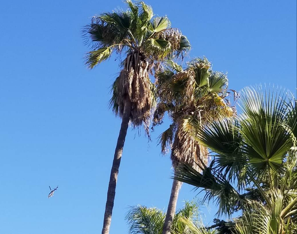 Those copters flying overhead? They're looking for fire hazards, not injured hikers - Vimarsana News