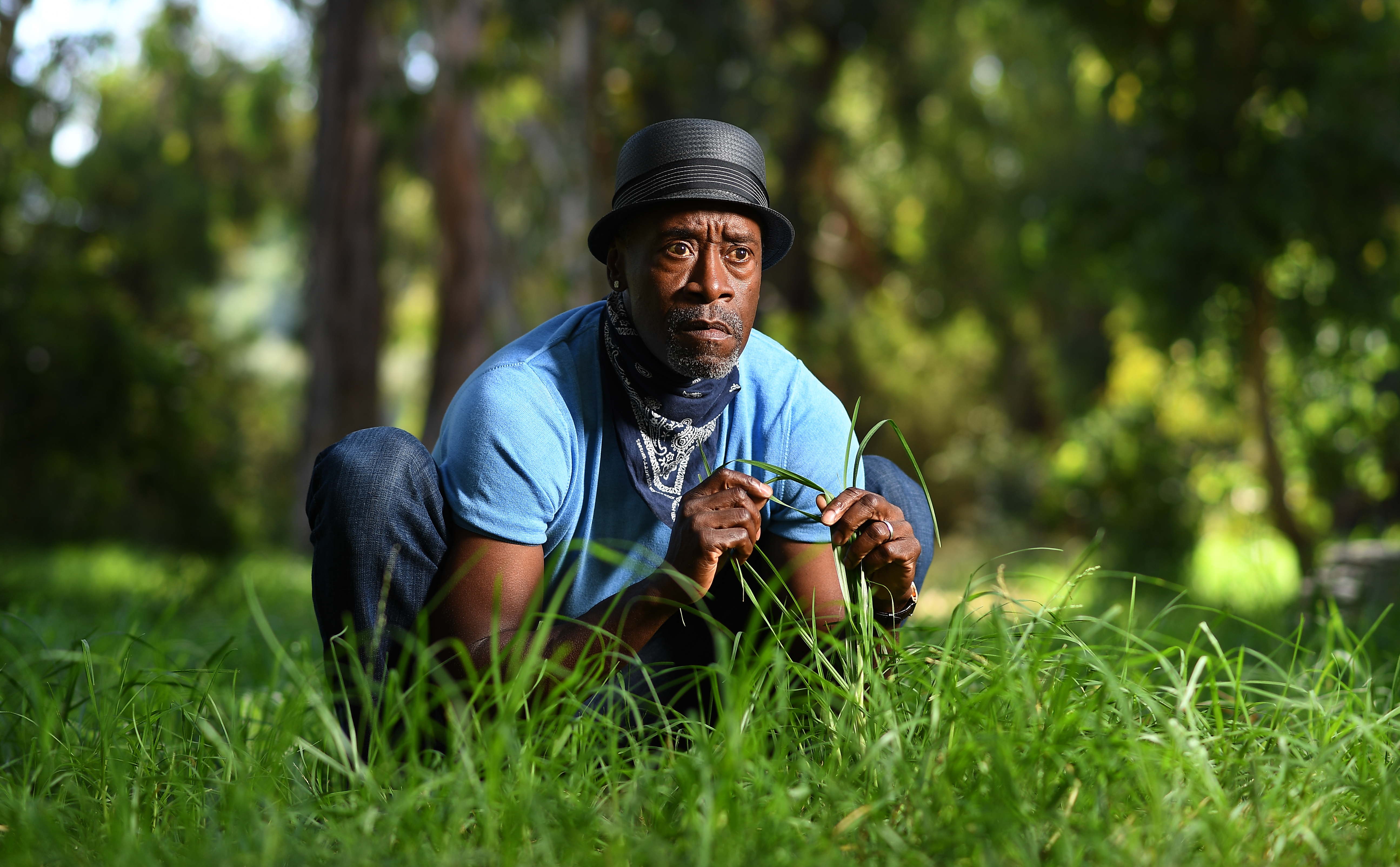 Why Don Cheadle is mystified by his 2021 Emmy nomination - Vimarsana News