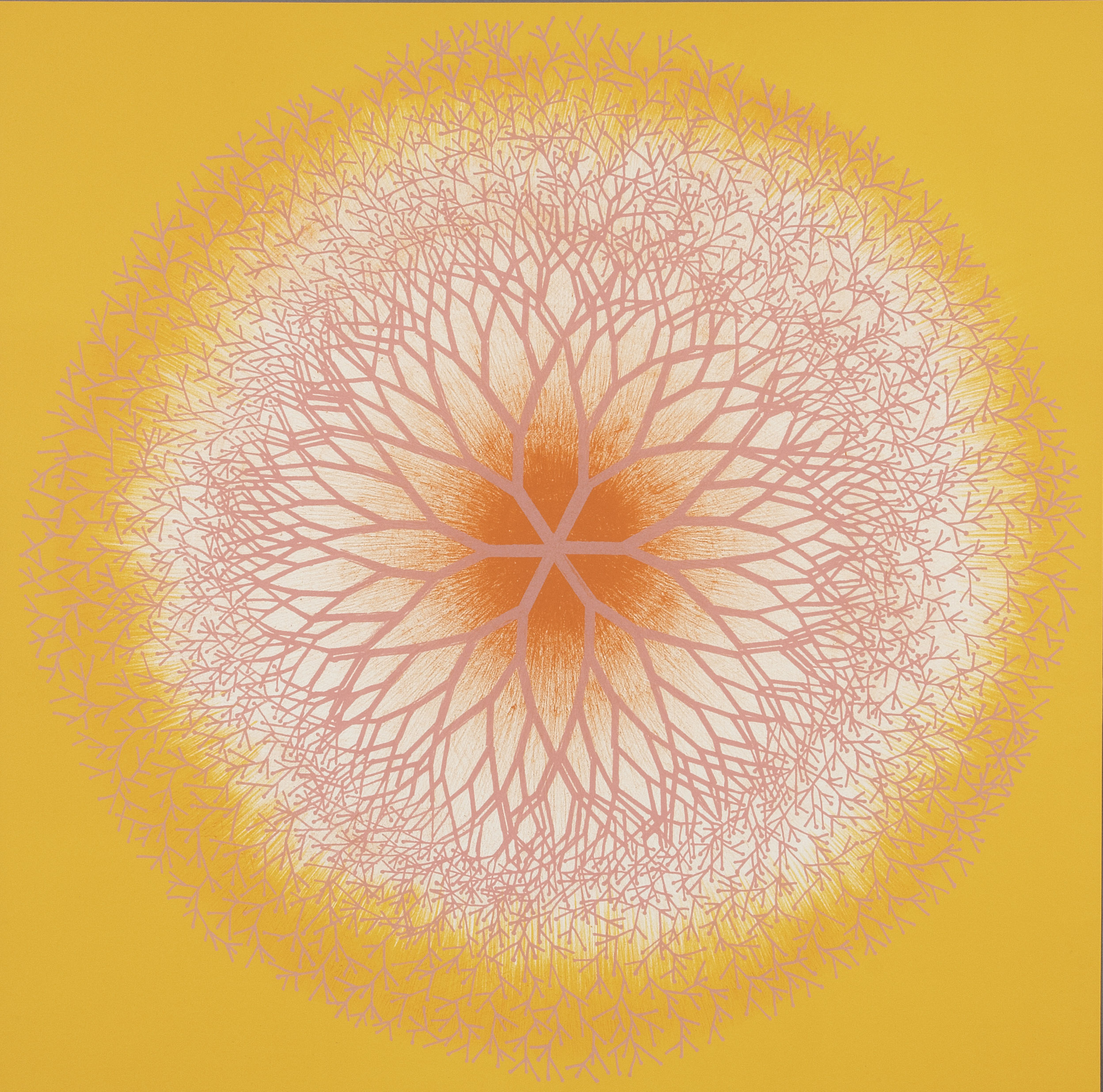 Arts & Culture Newsletter: MCASD puts women lithographers front and center - Vimarsana News