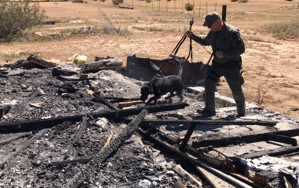 Veterinarian contradicts Sheriff's Dept account of K-9 death - Vimarsana News