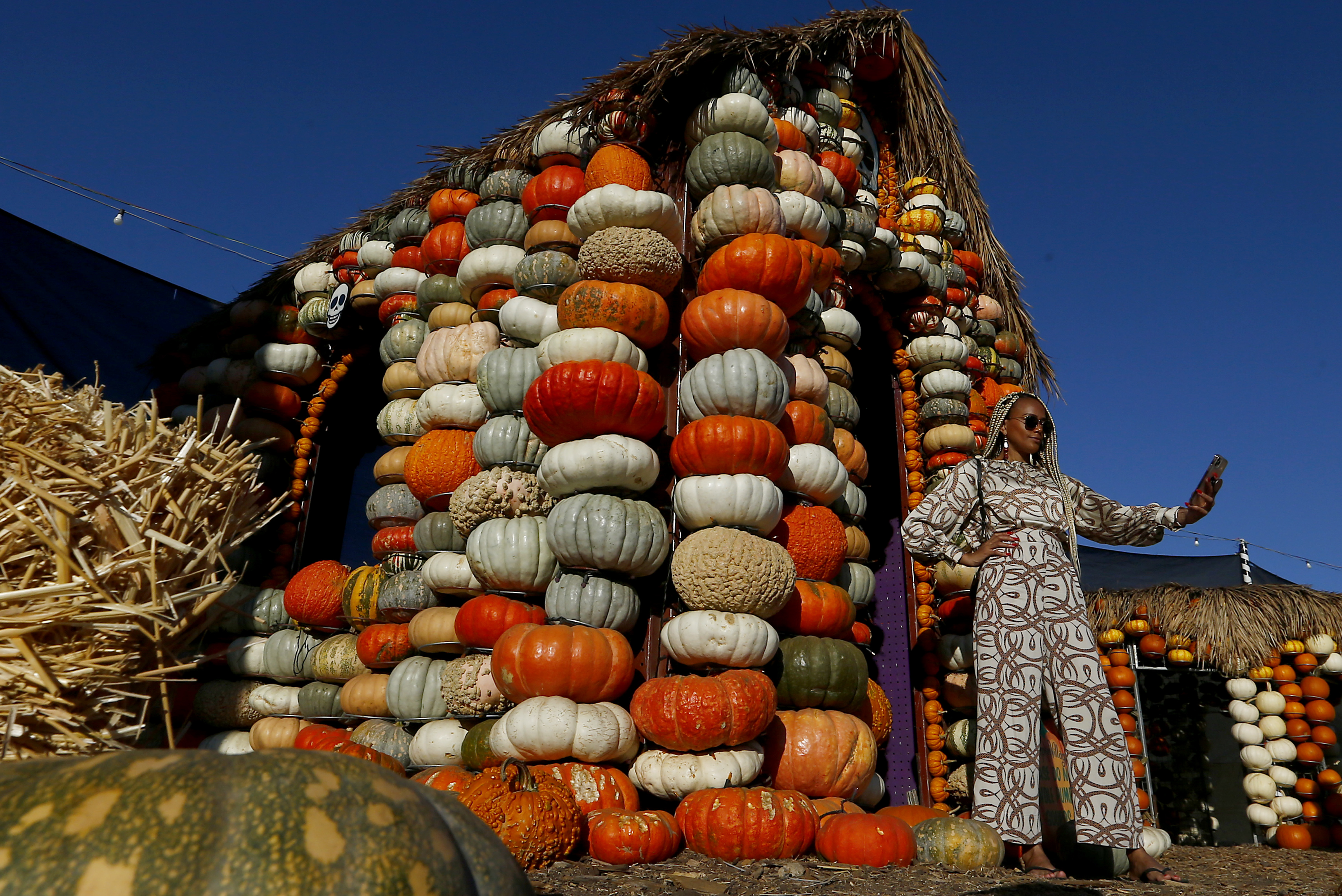 Pumpkin patches near me in Los Angeles and Orange County - Vimarsana News