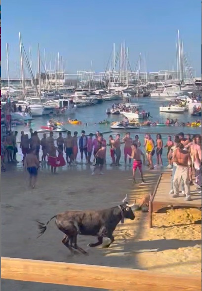 Rancho Santa Fe resident injured at bull event in Spain - Vimarsana News