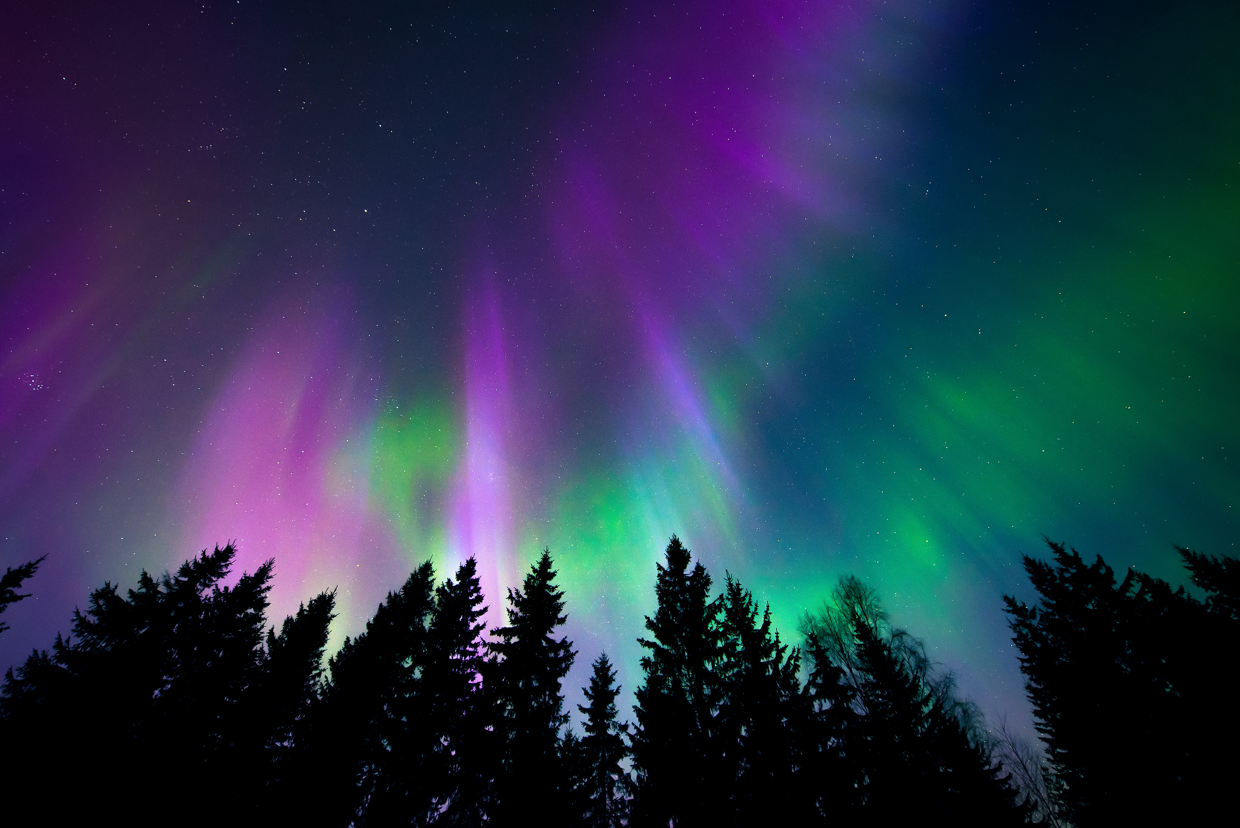 How to see the northern lights without leaving North America - Vimarsana News