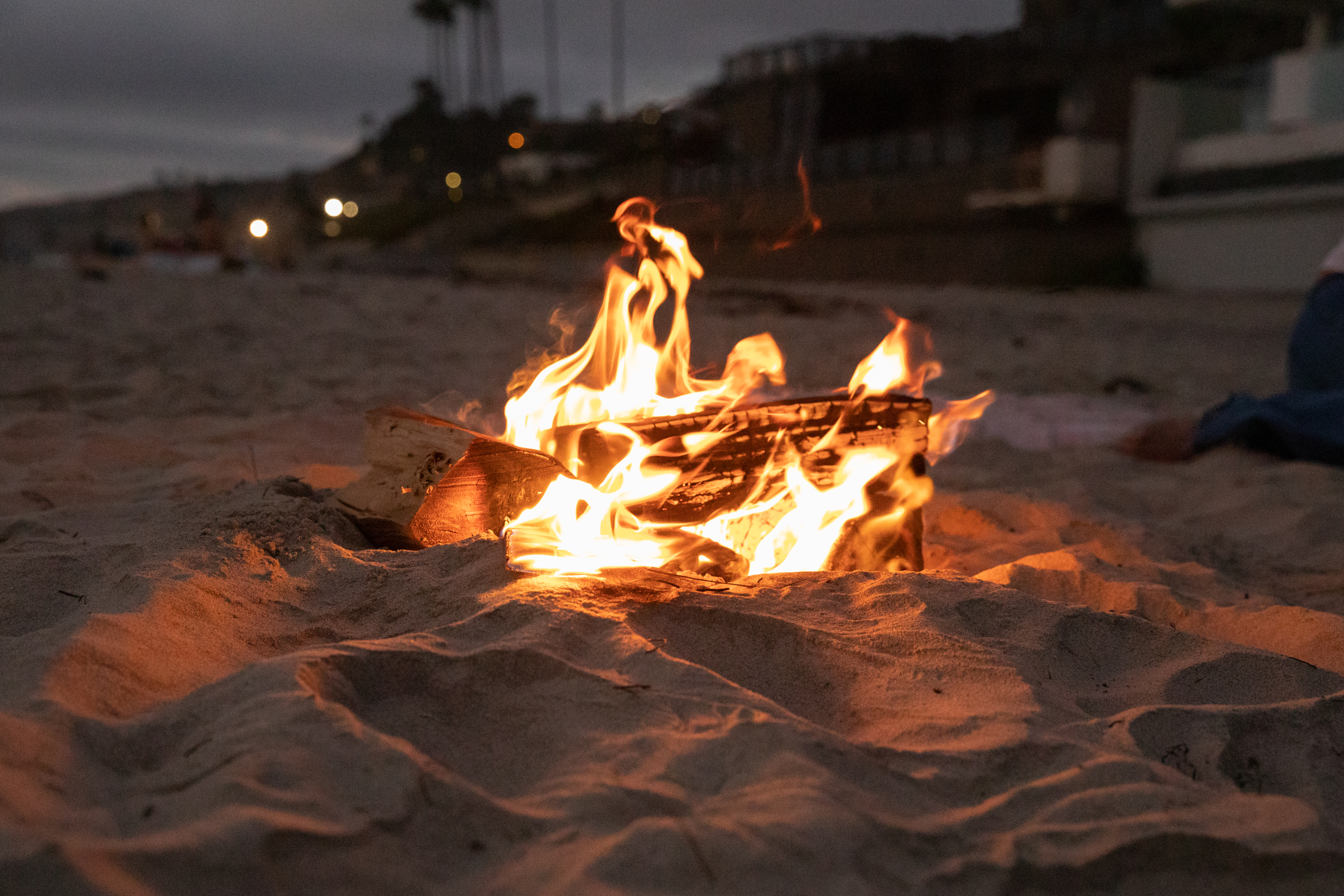 La Jolla News Nuggets: Beach bonfires, 'Pillage the Village,' lifeguard tryouts, Nierenberg Prize, more - Vimarsana News