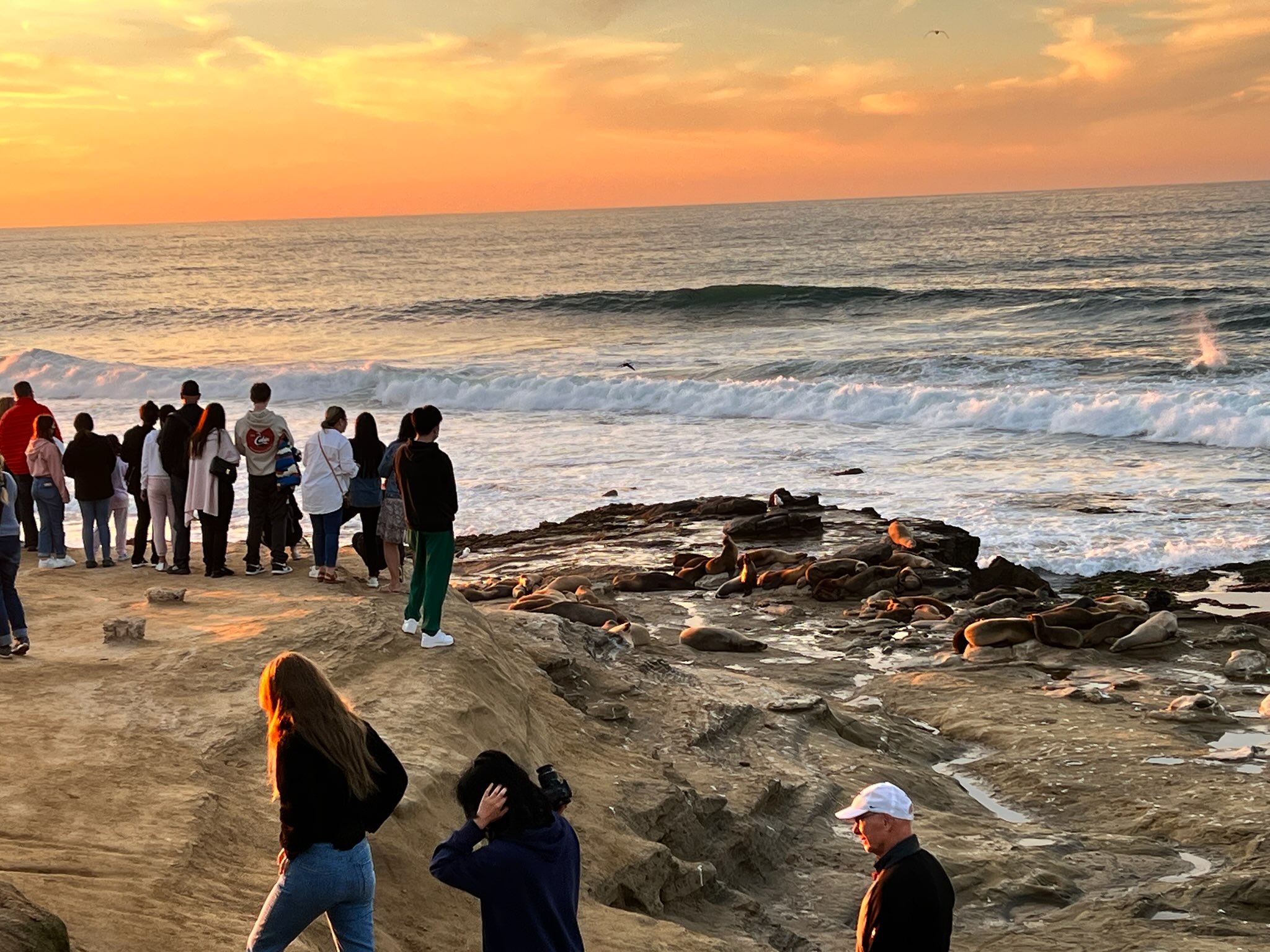 San Diego's annual seasonal closure of Point La Jolla is planned to mirror emergency closure of 2021 - Vimarsana News