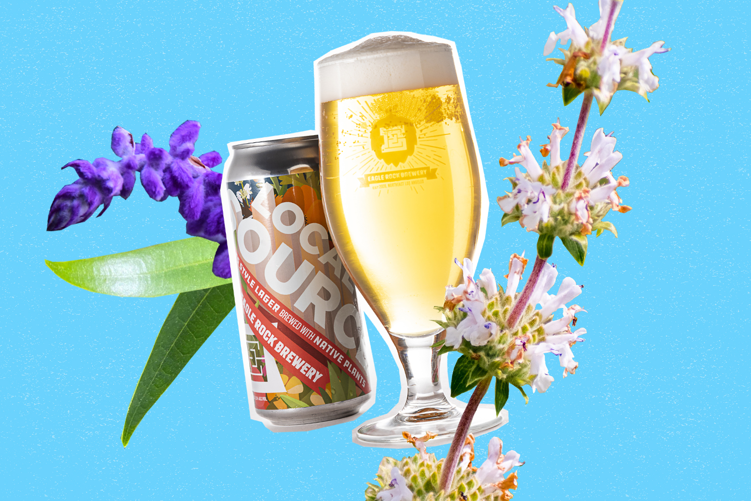 Eagle Rock Brewery debuts California native plants lager - Vimarsana News
