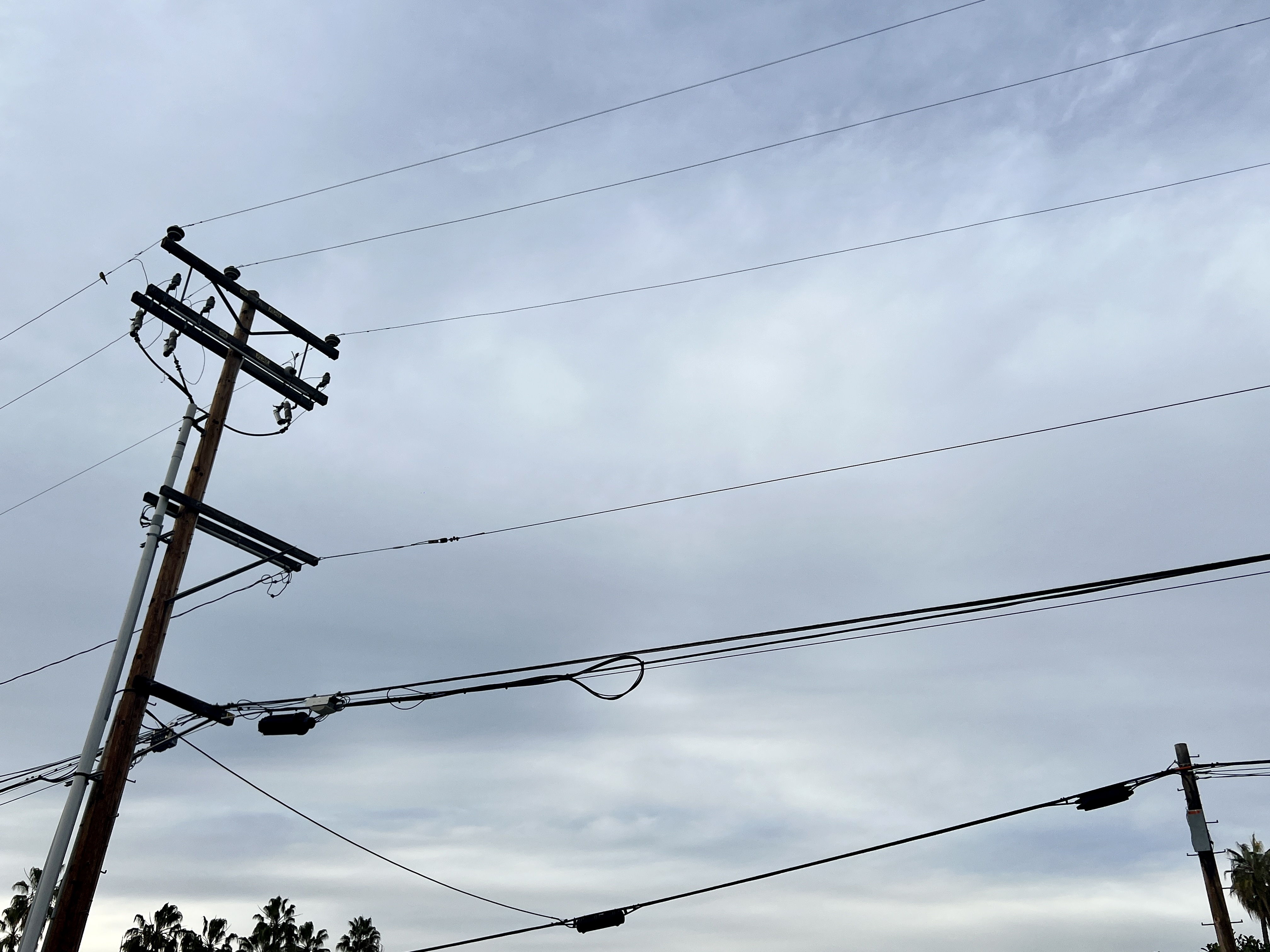 La Jolla utility undergrounding projects still in progress despite delays - Vimarsana News