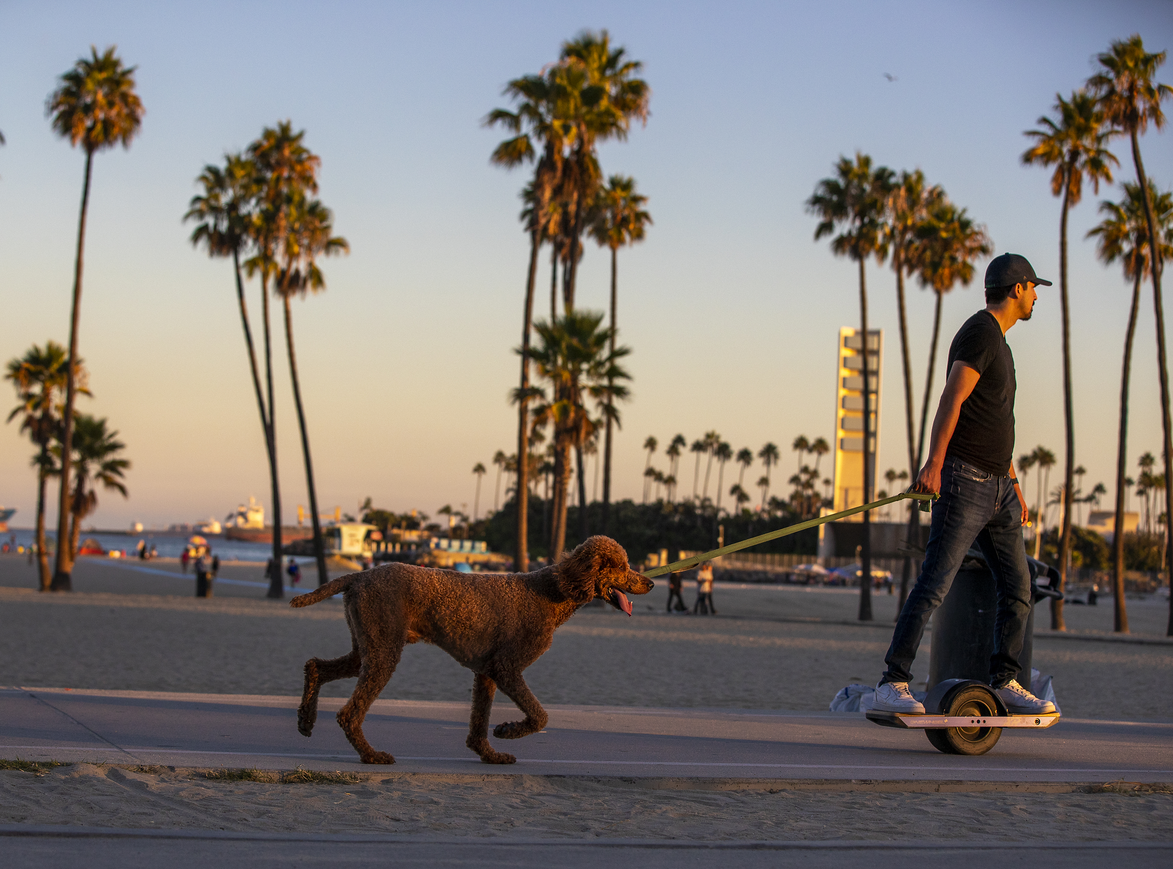Photos: Brutal heat wave bearing down on Southern California - Vimarsana News