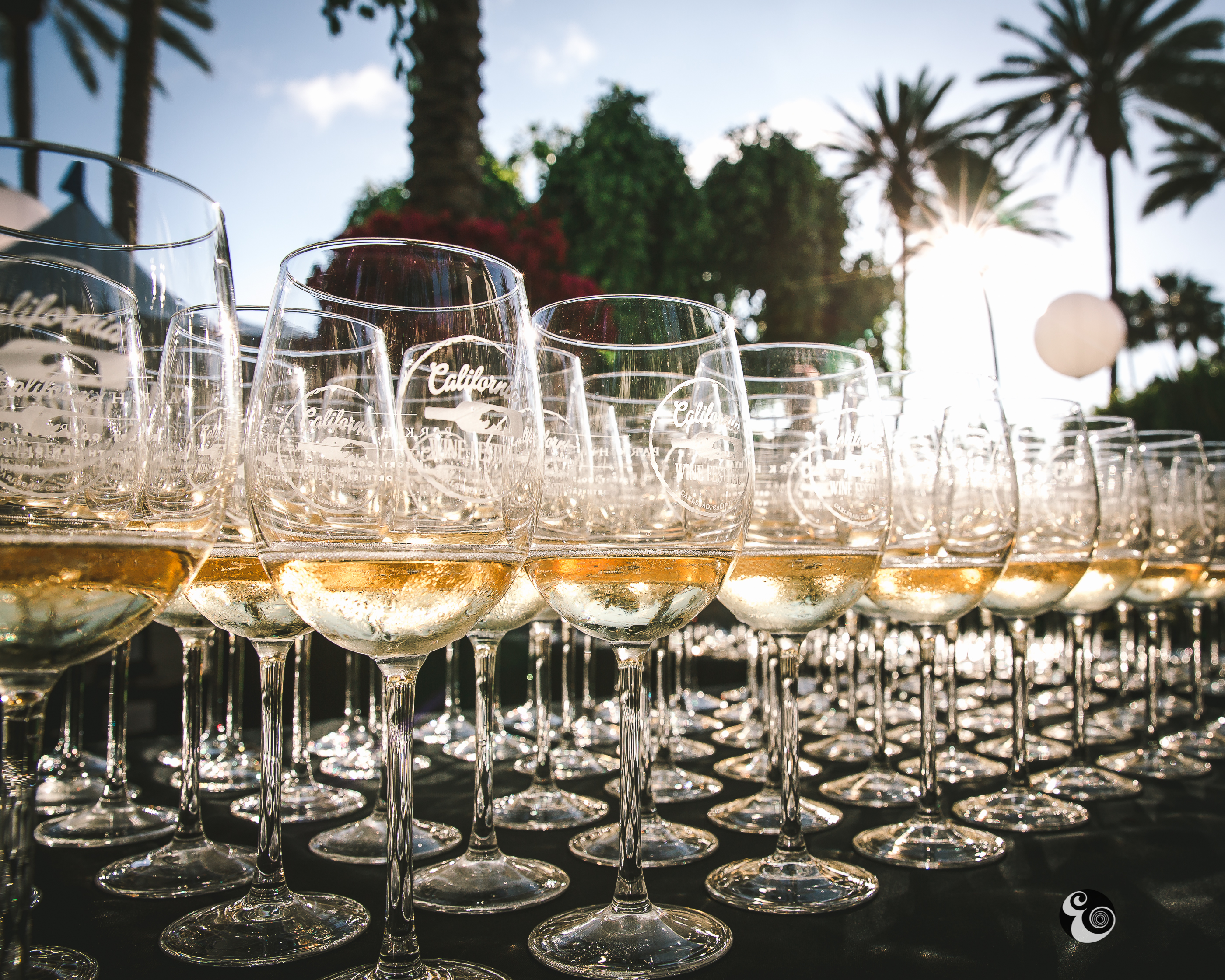 Four upcoming wine festivals celebrate the approach of summer in San Diego - Vimarsana News