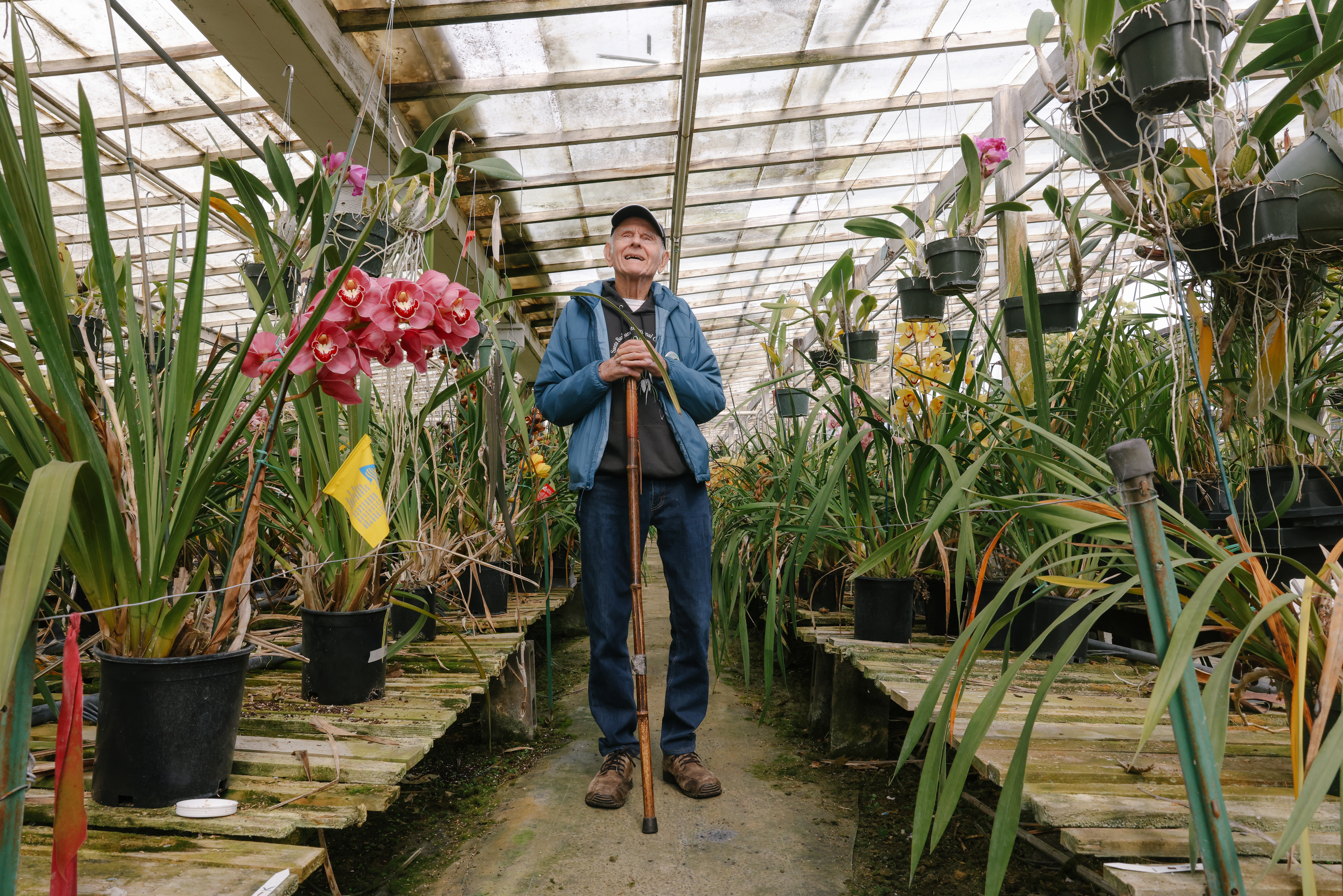 Orchid questions? Ask famed master breeder Paul Gripp - Vimarsana News