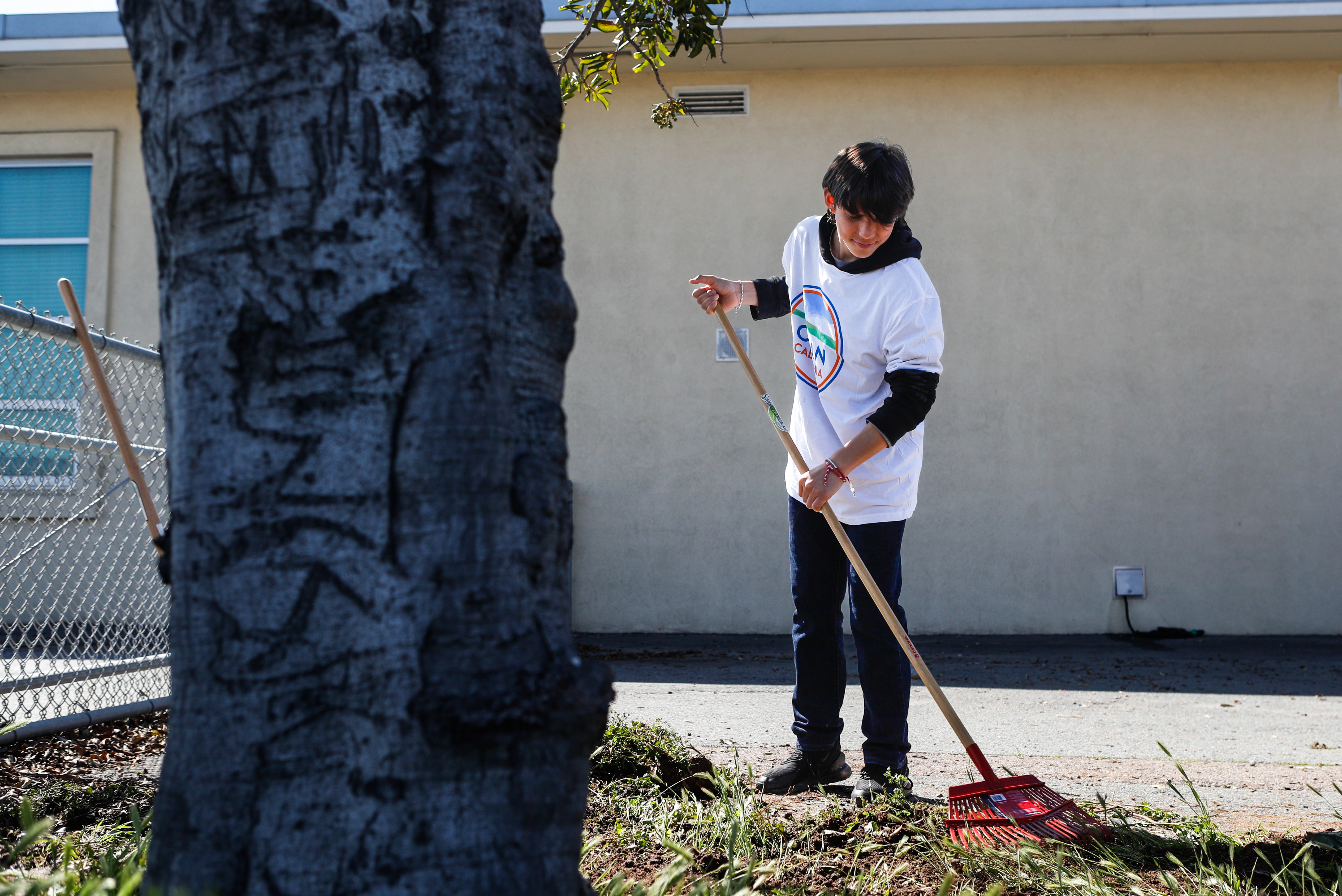 Murals, parks restore San Diego areas freeways tore apart - Vimarsana News