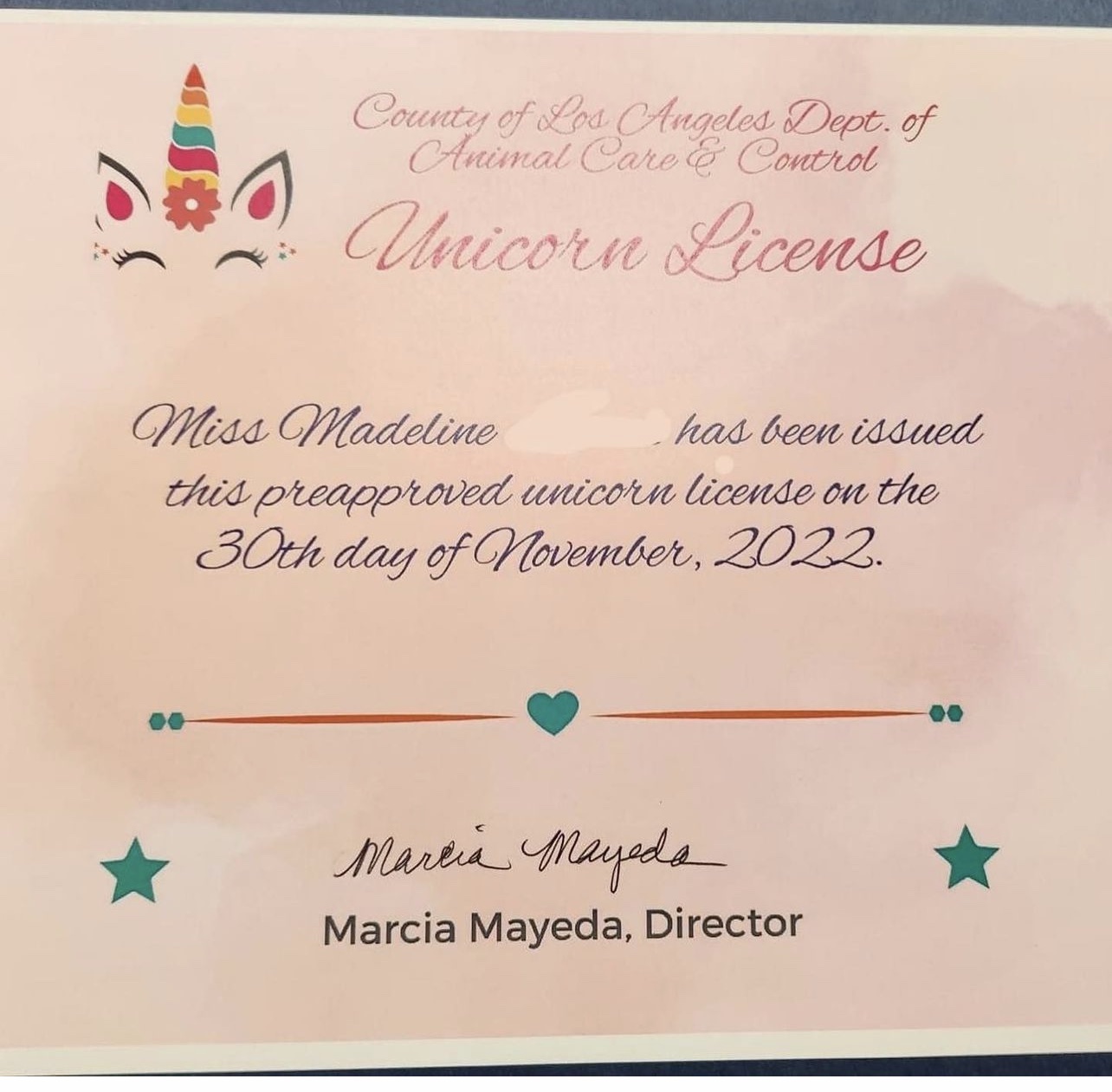 L.A. County Animal Care grants girl's request to house a unicorn - Vimarsana News