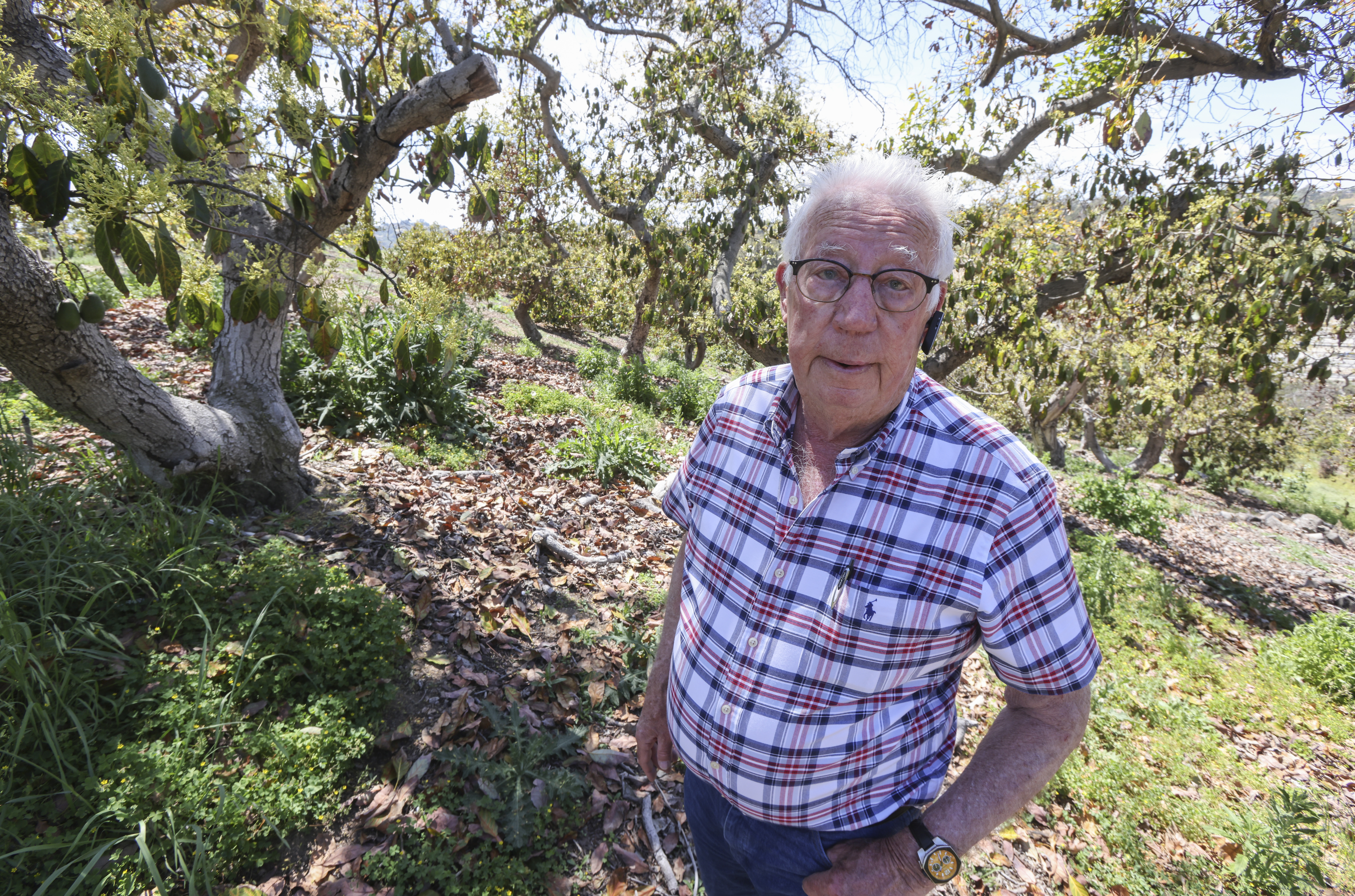 North County farmers want to ditch expensive water supplier. Will elected leaders stop them? - Vimarsana News
