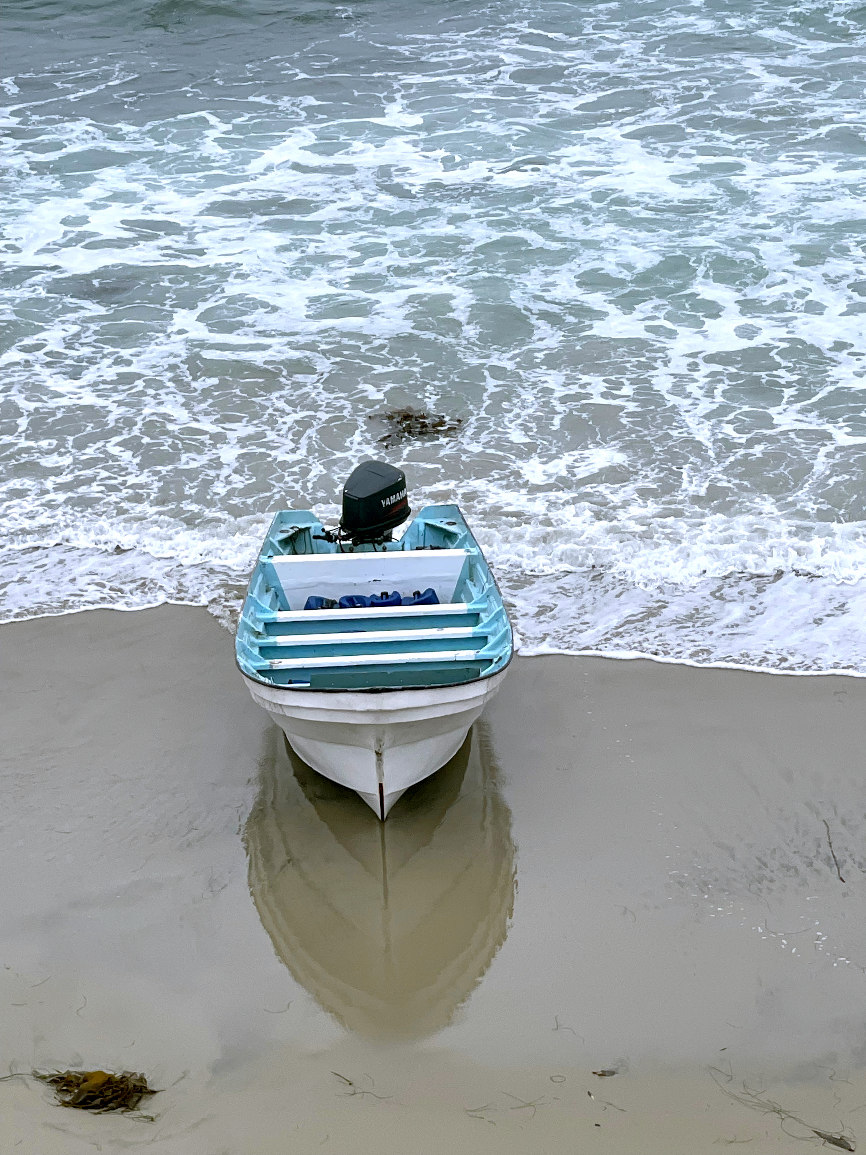 Laguna Beach, Newport Beach see panga boats appear on shorelines - Vimarsana News
